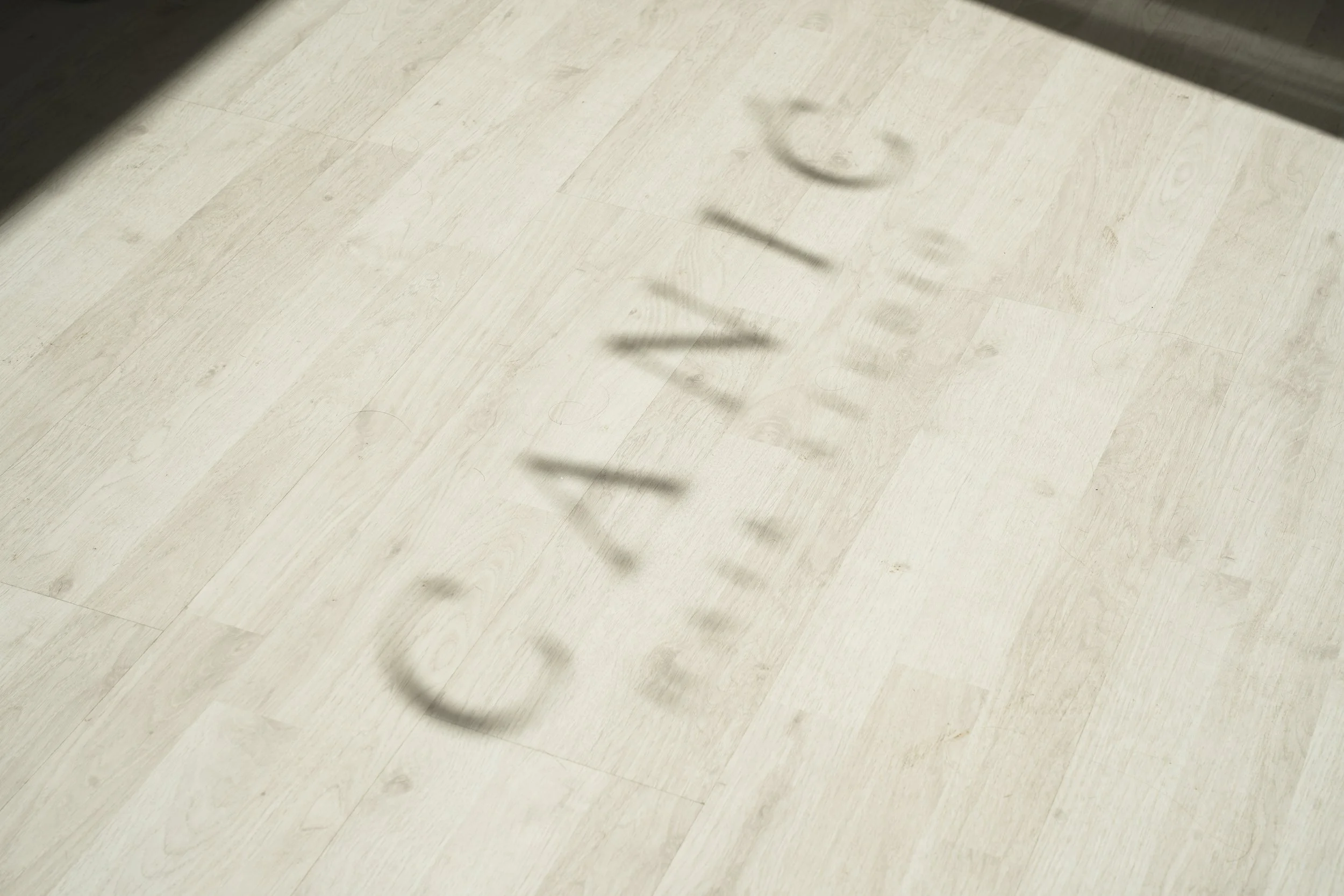 Canić logo