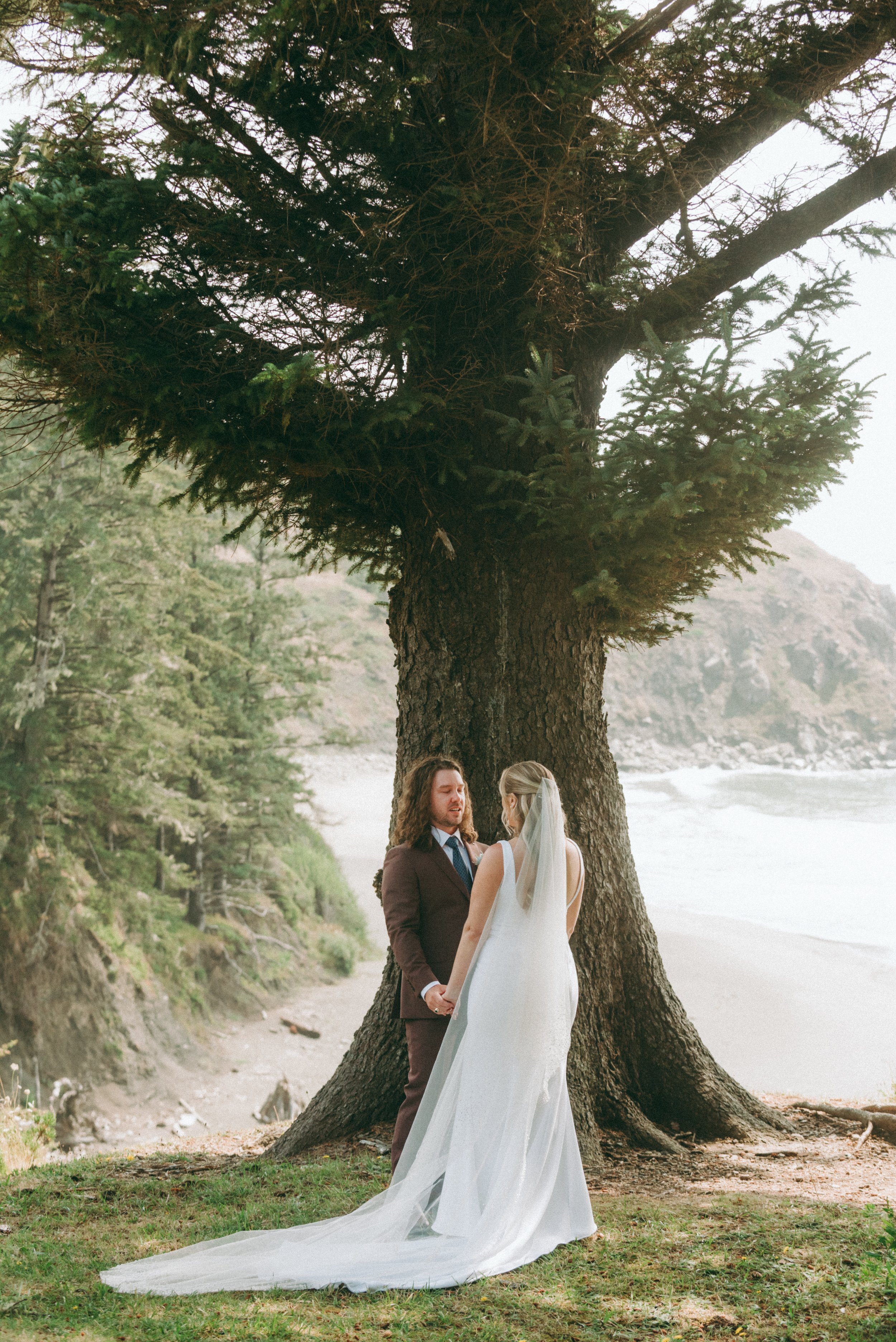 A couple getting married outdoors under a large tree near the beach.