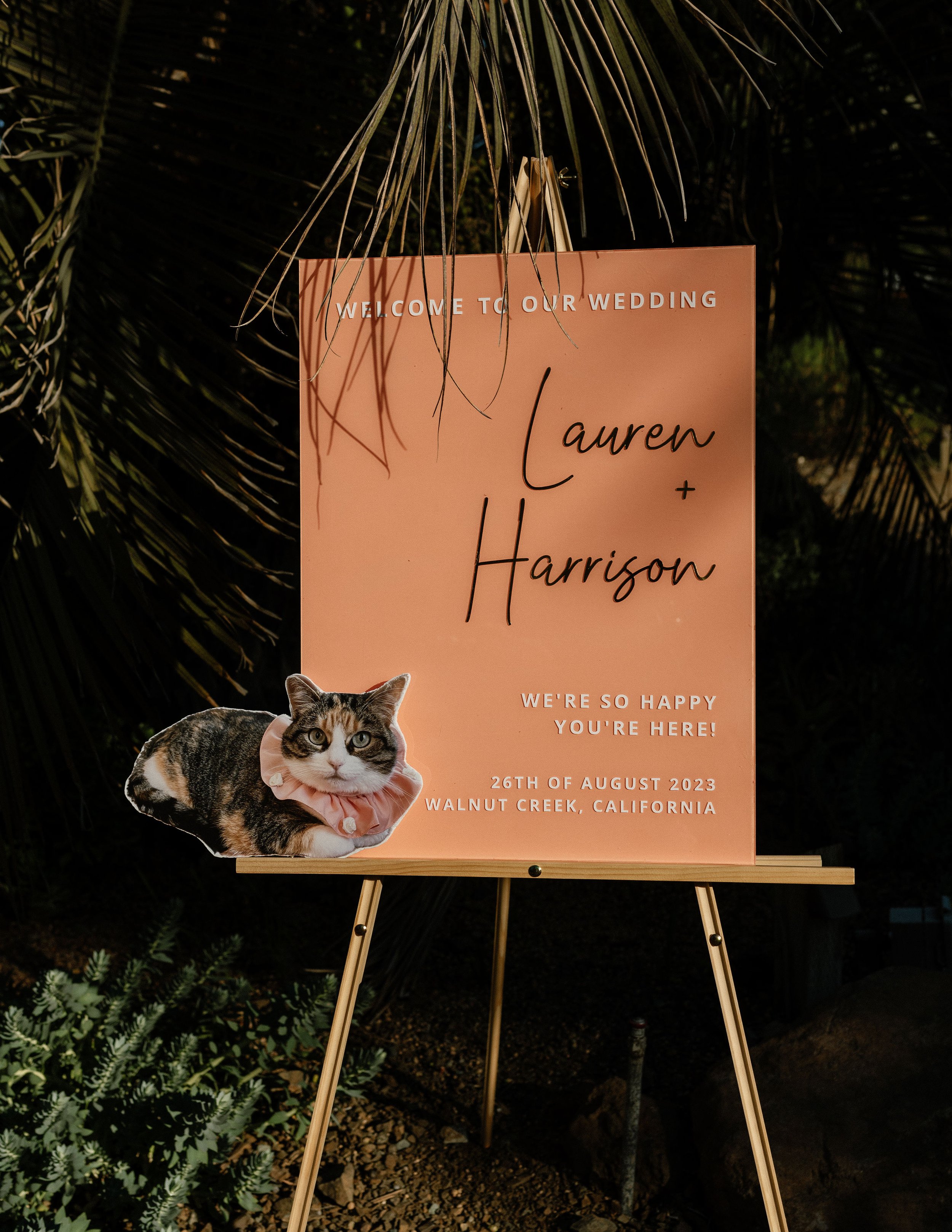 Wedding welcome sign with a photo of a cat wearing a pink collar and bow, surrounded by palm trees and greenery.