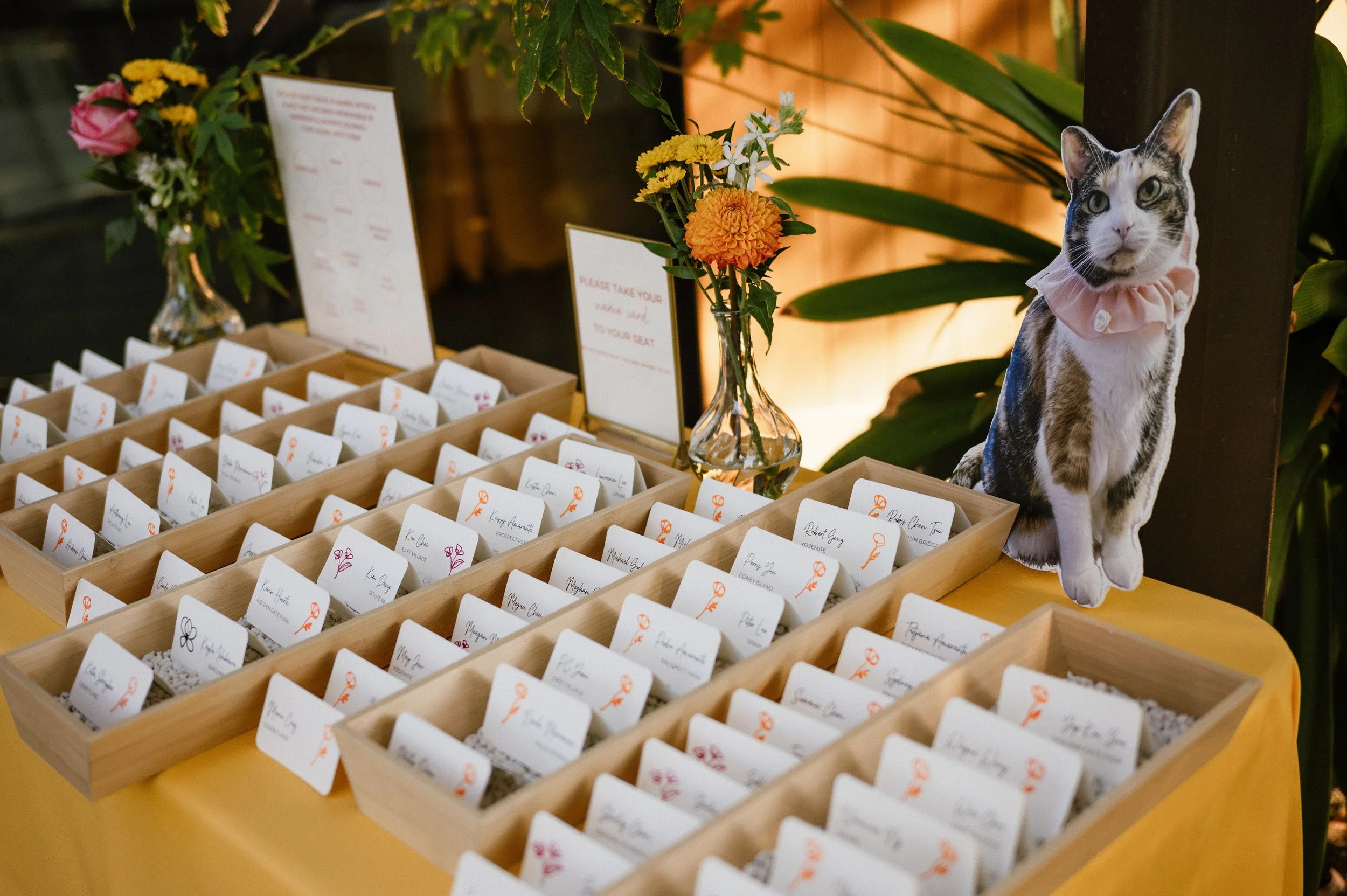 Display of plant pots with name tags and a cardboard cutout of a cat wearing a pink collar at a table with a yellow tablecloth, decorated with flowers and signs.