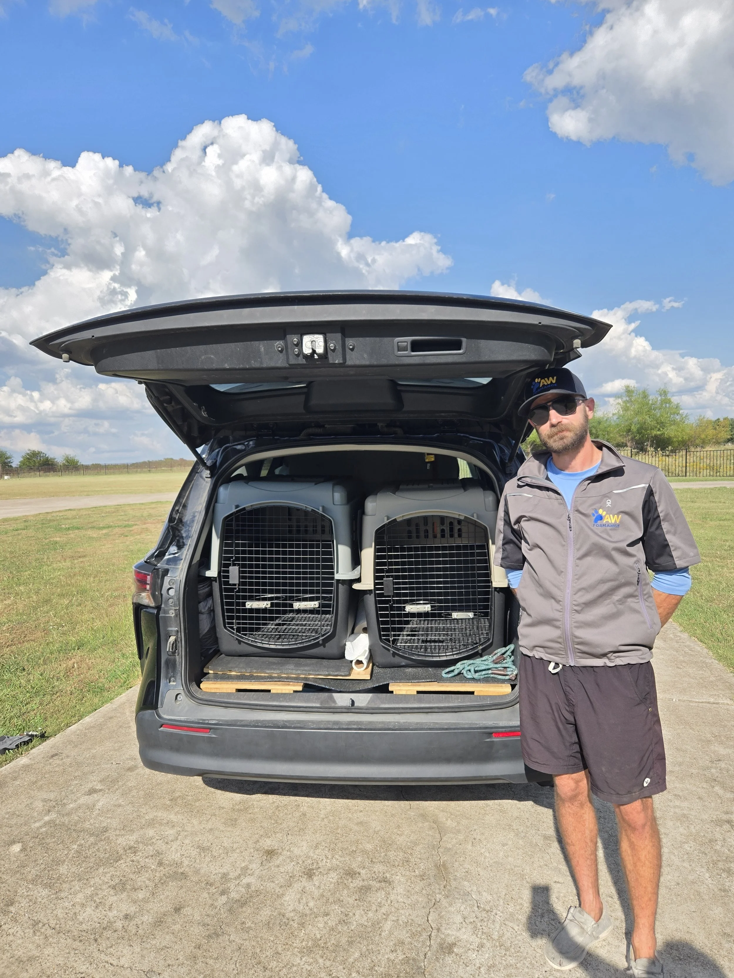 Pet Transport Pricing: DIY vs Professional