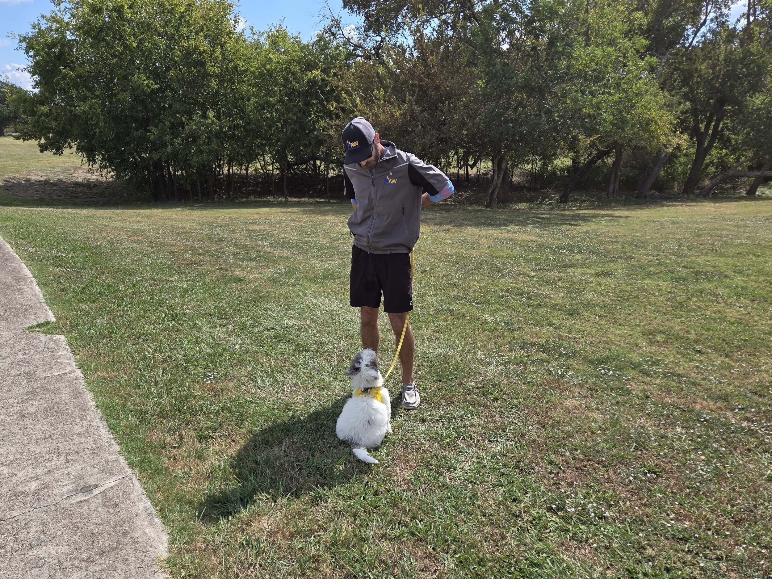 A man walking a small, fluffy dog on a leash in a grassy park area on a sunny day.