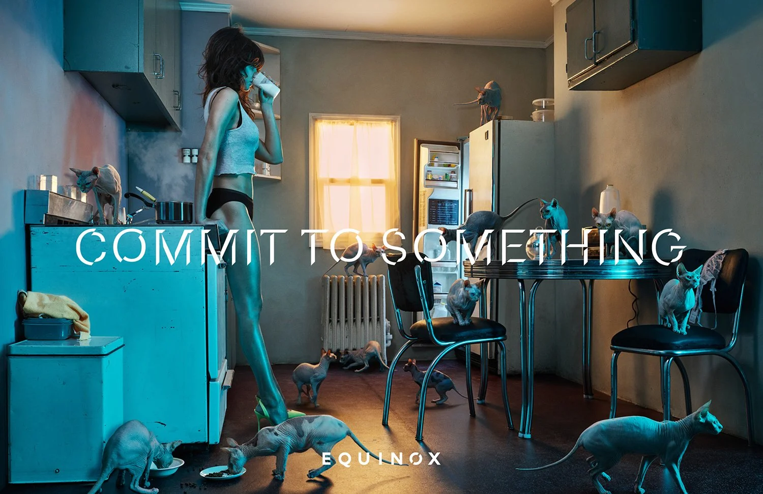 Equinox gym "Commit to Something" cat lady "Sean McLaughlin" CD