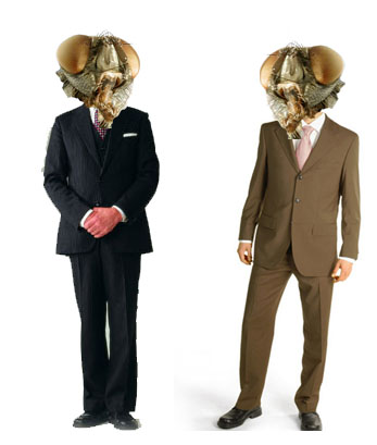 Click here for the agency walk through.