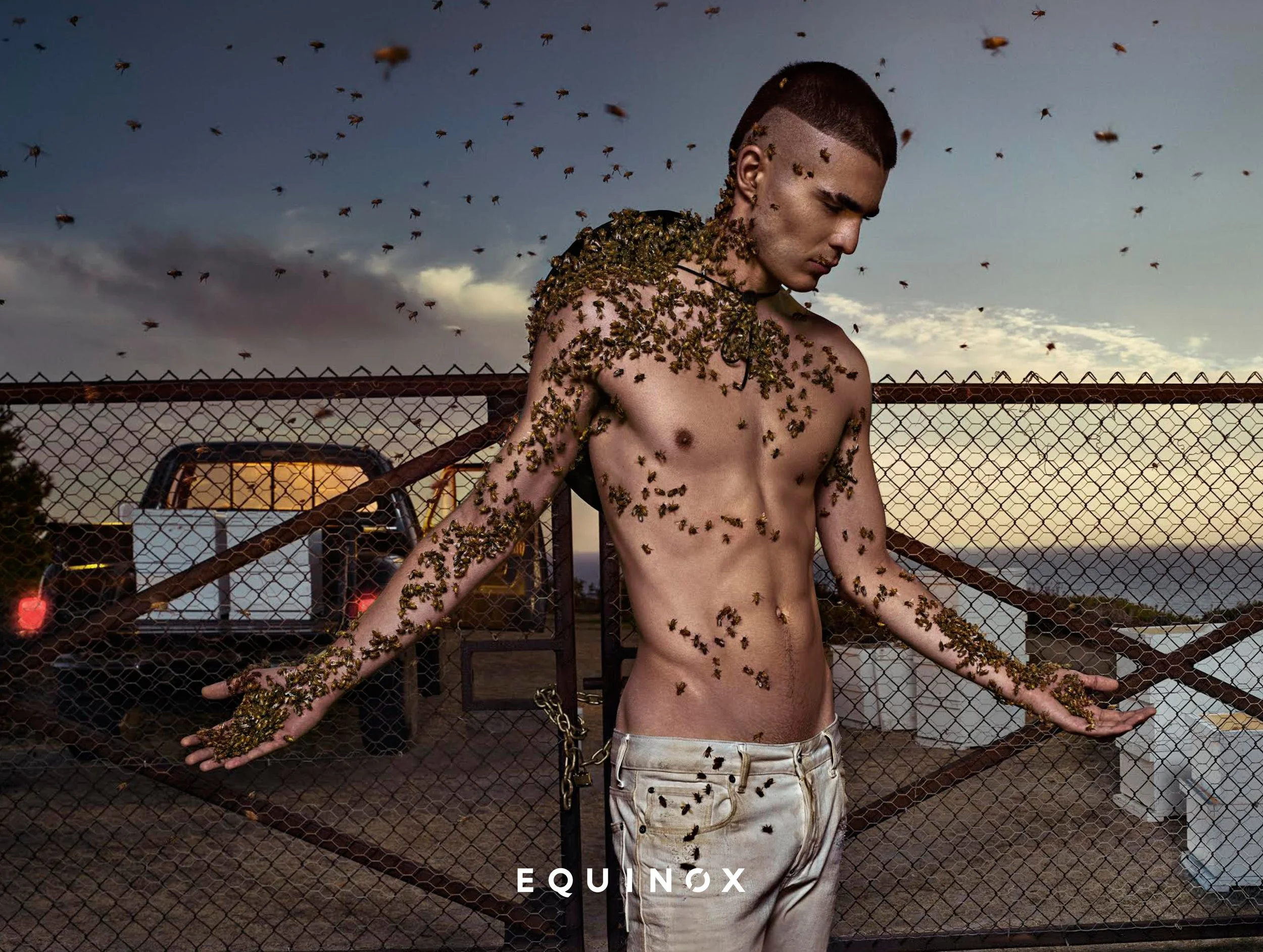 Equinox gym "Commit to Something" bee keeper "Sean McLaughlin" CD