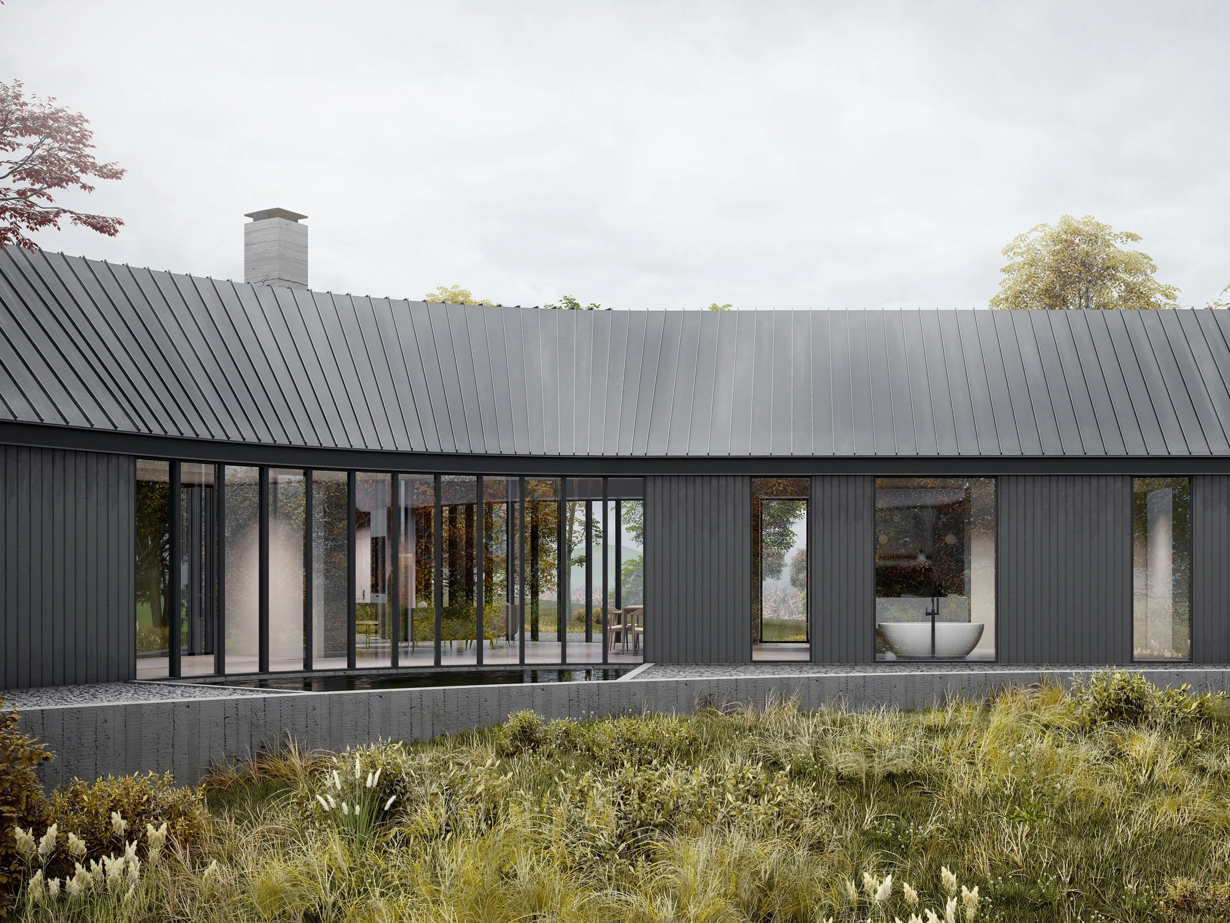Modern black house with large glass windows, metal roof, and landscaped front yard with grass and bushes.