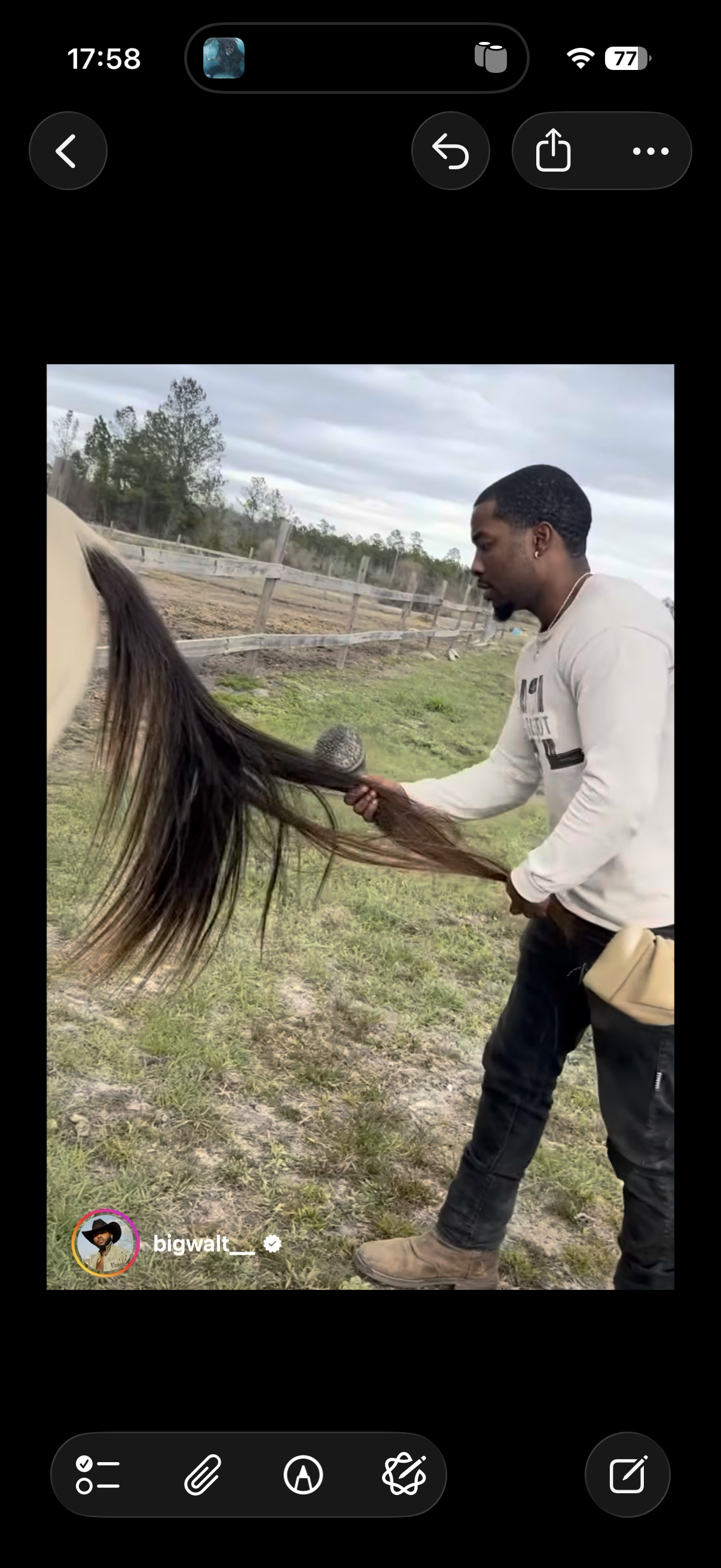 2025 Exclusive Experiences 