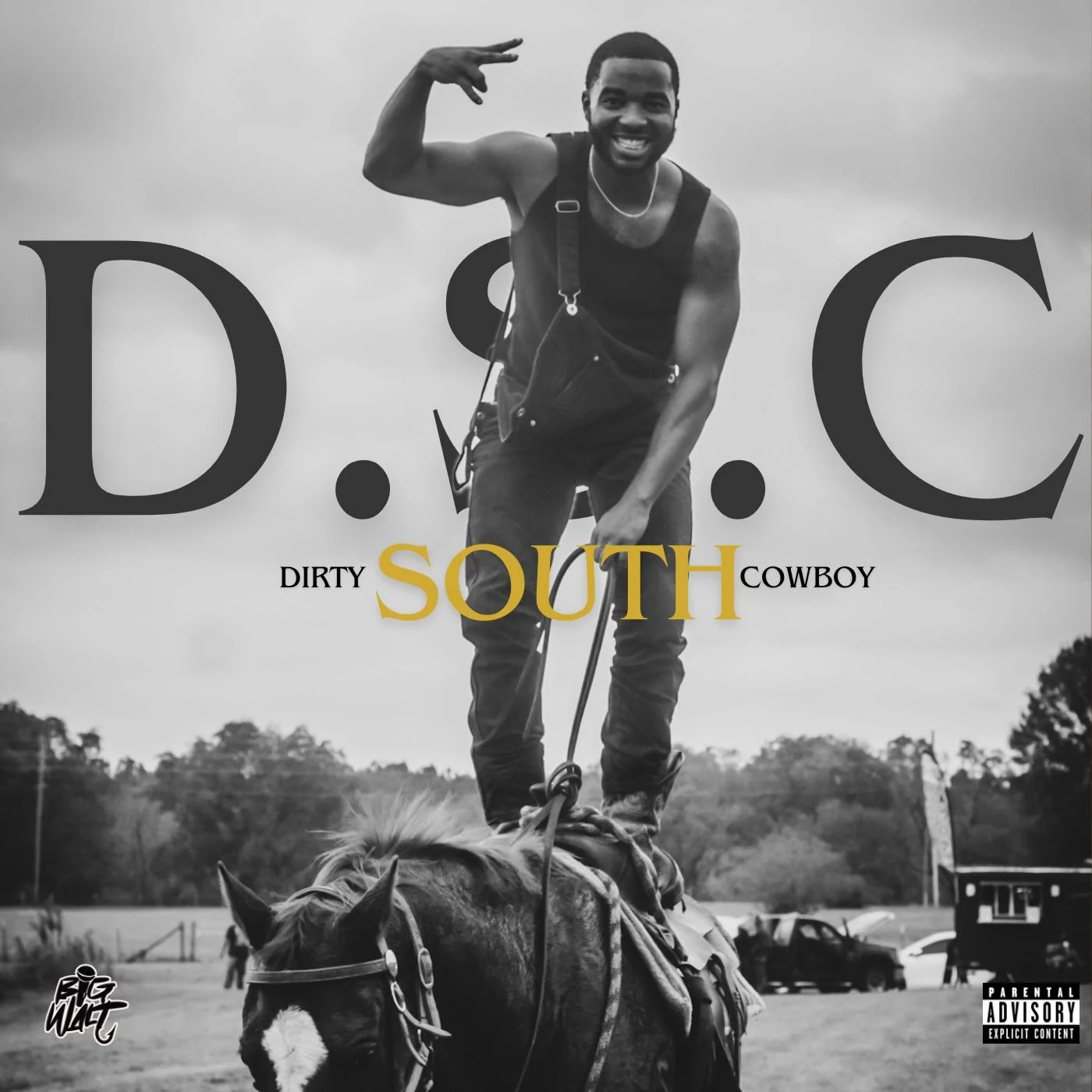 DIRTY SOUTH COWBOY
