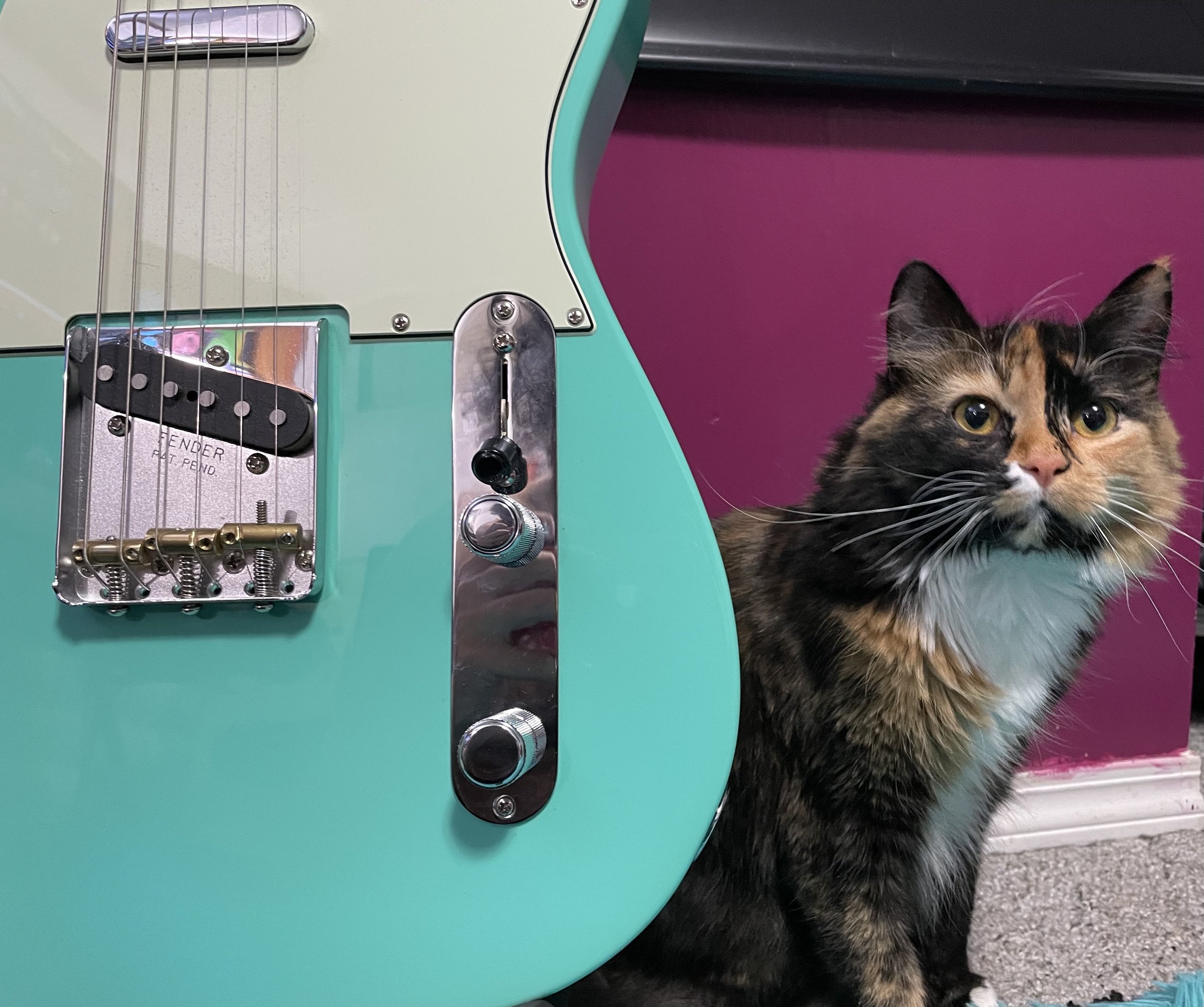 Lessons @ My Home Studio - 30 mins