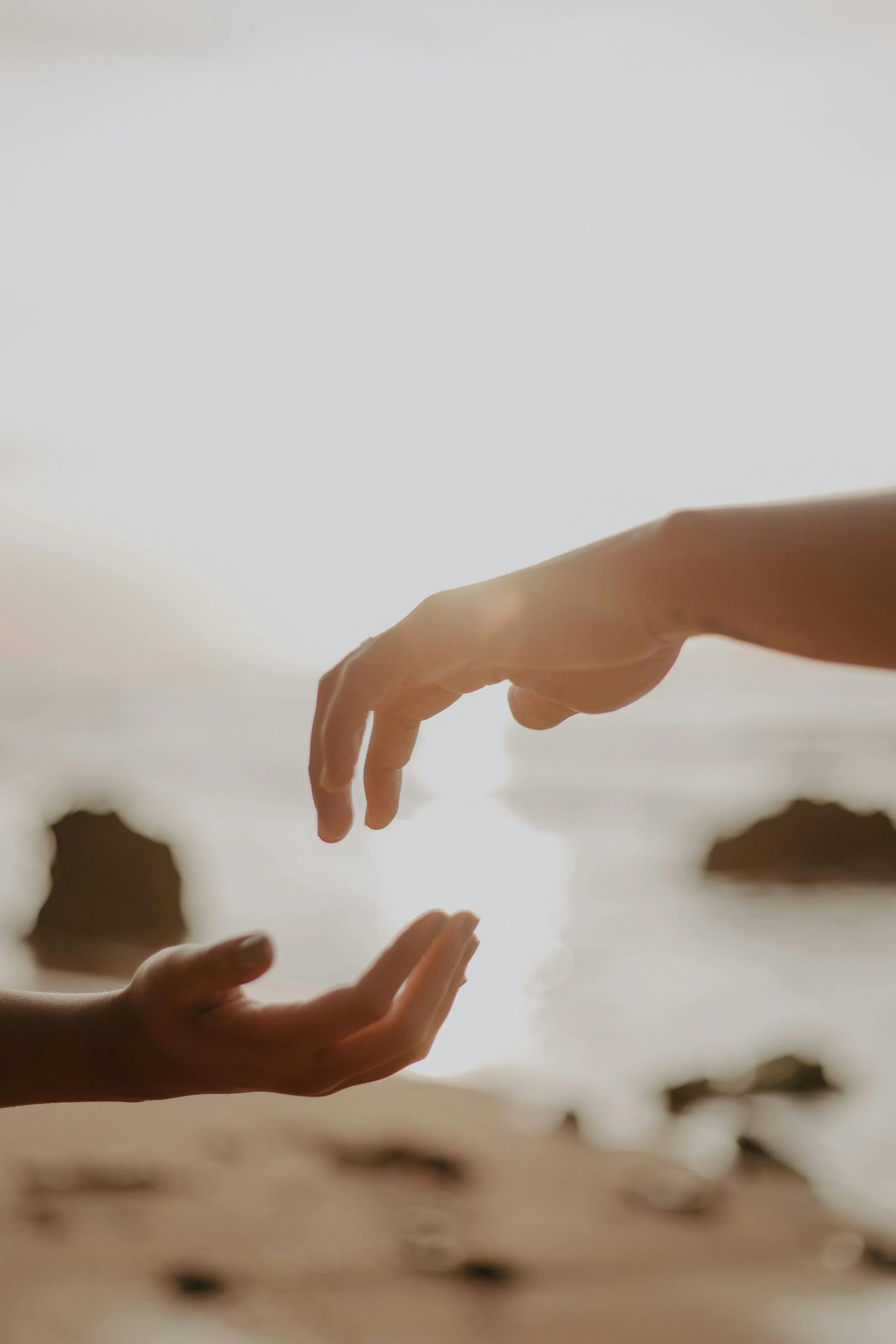 Multiple hands reaching out towards each other in the sunset or sunrise.