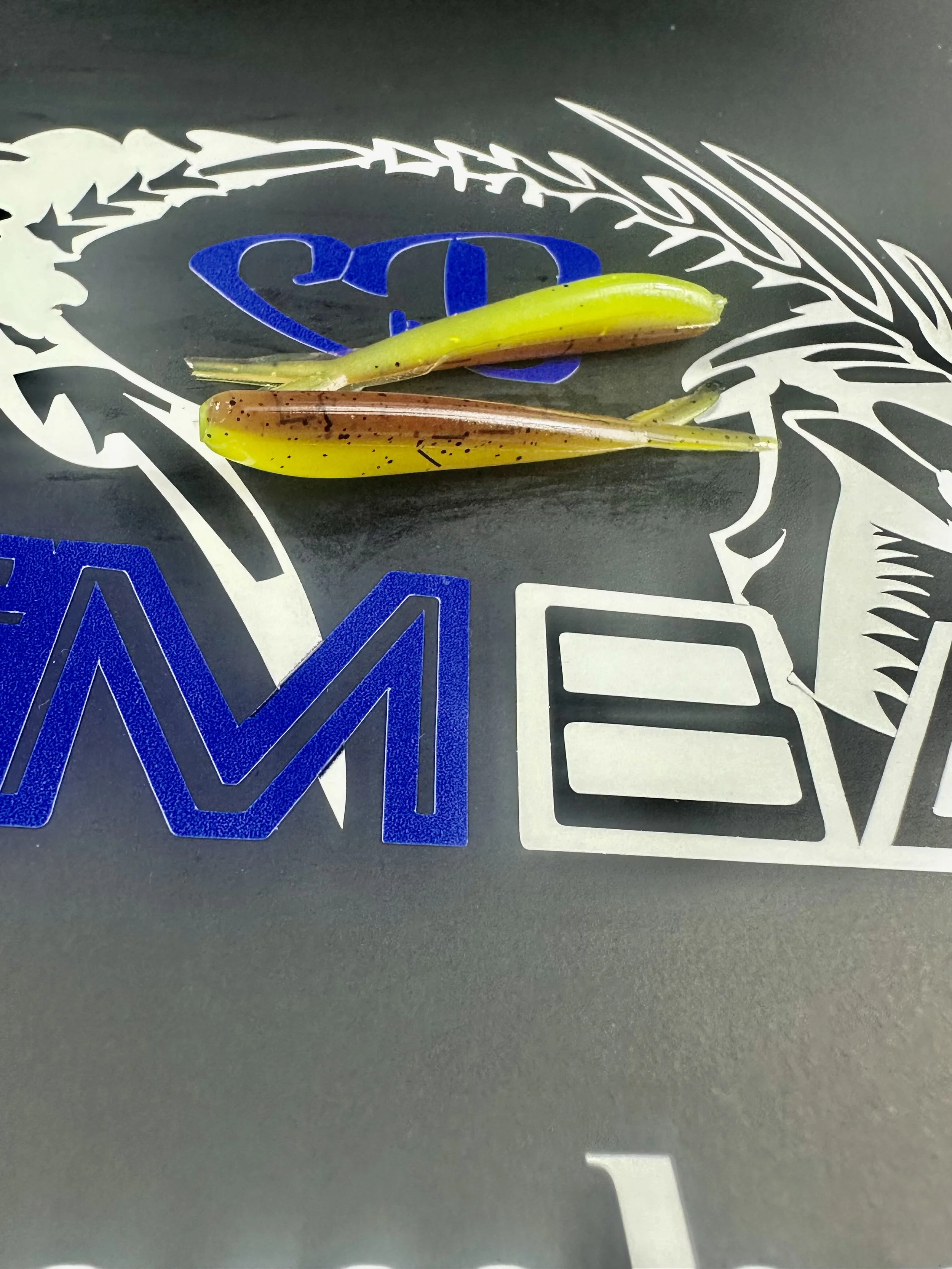 PUMPKIN CHAR BELLY mini minner.jpg