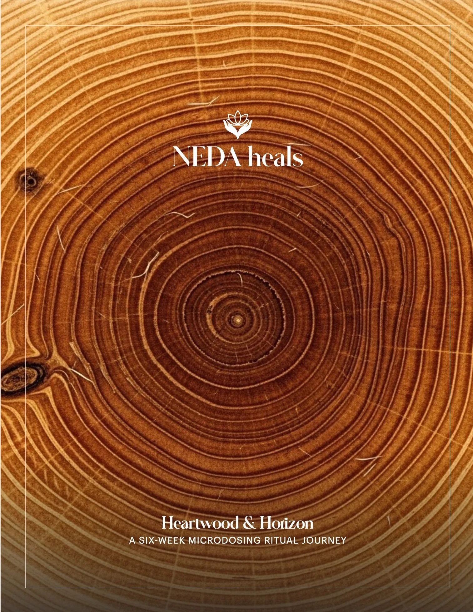 NEDAHEALS_HEARTWOOD AND HORIZON.jpg