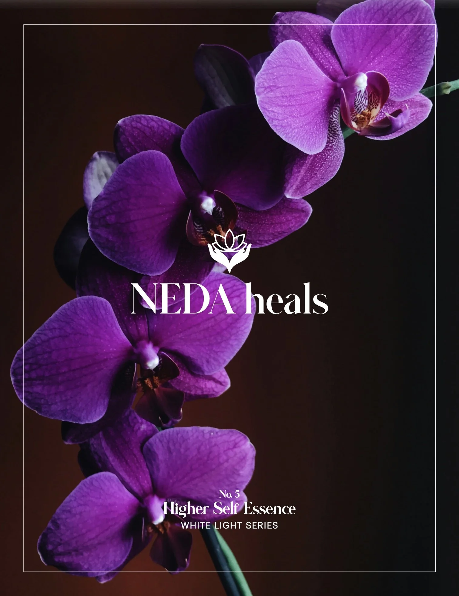 NEDAHEALS_WHITELIGHT_HIGHER SELF.jpg