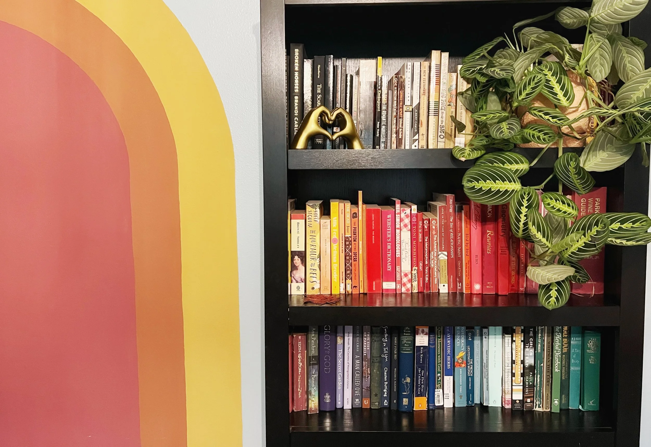 A black bookshelf with three shelves filled with books organized by color: yellow, orange, red, purple, blue, and green. On top of the bookshelf, there is a decorative gold-colored hand sculpture forming a heart shape with the fingers. To the right, there is a green leafy plant cascading over the edge of the top shelf.
