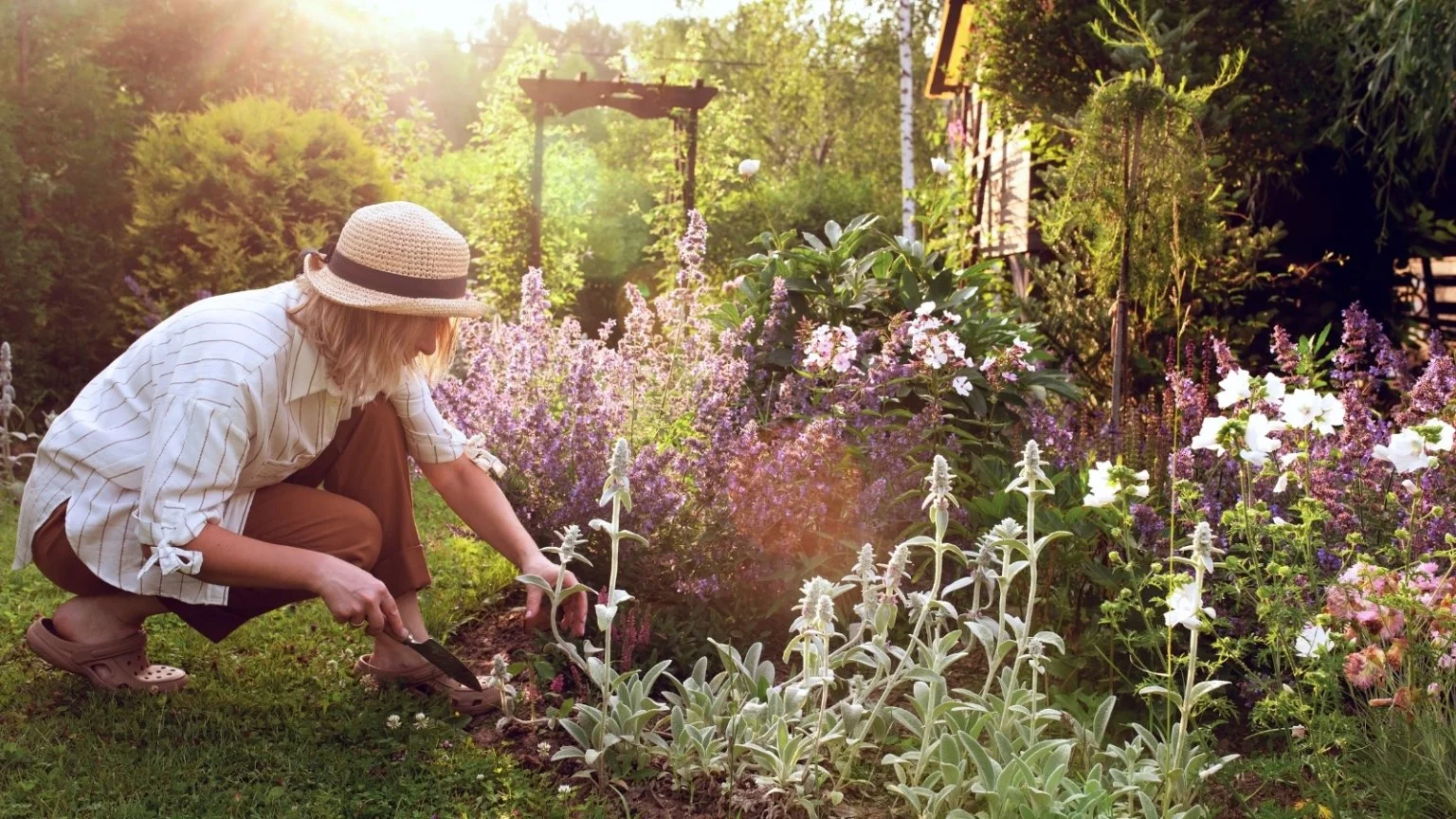 A woman gardening in a lush garden with flowering plants and greenery, sunlit in the background.