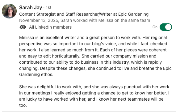 Screenshot of a LinkedIn recommendation highlighting Melissa's writing skills, collaboration, punctuality, and positive work attitude.
