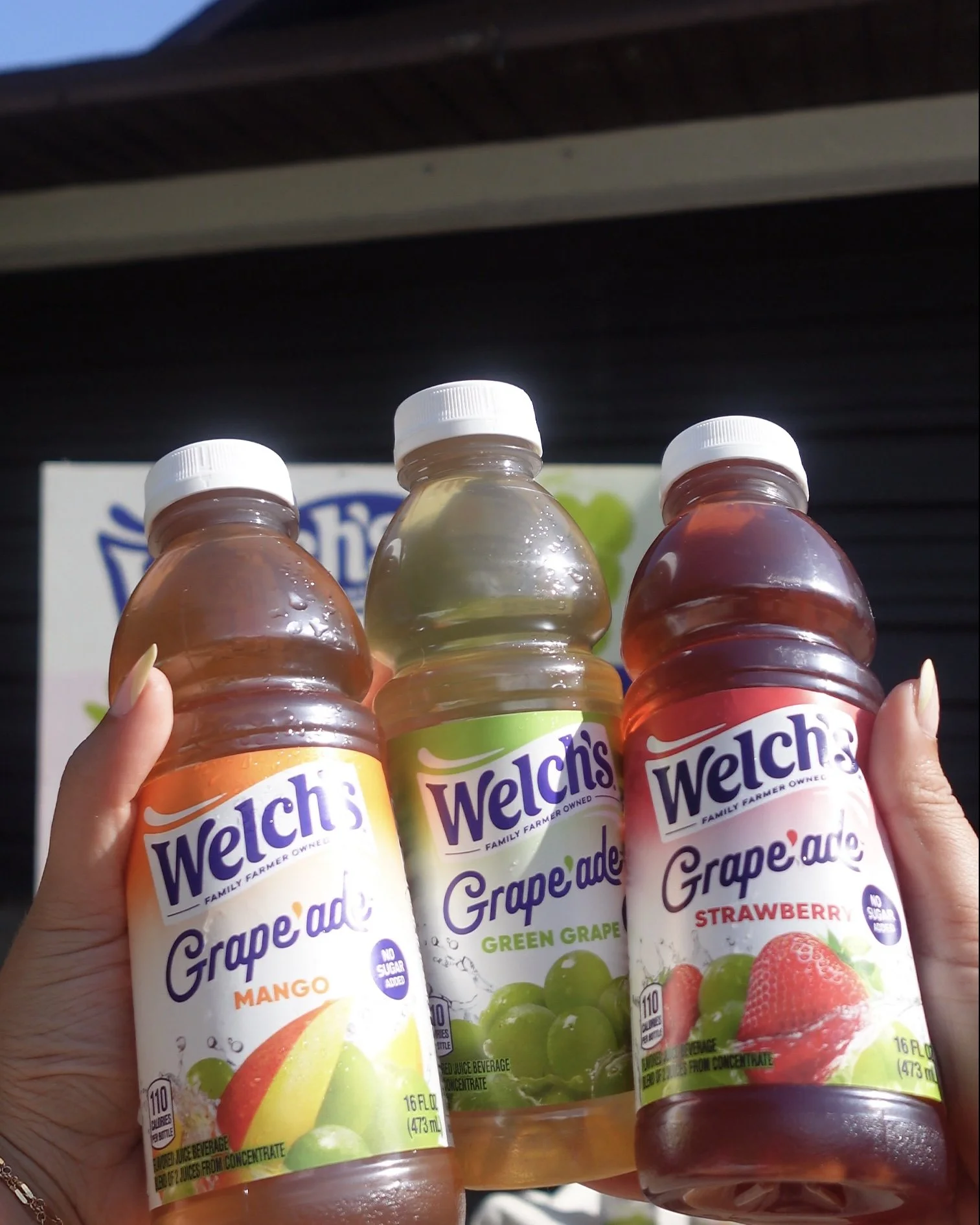 Three bottles of Welch's Grape-Ade fruit drinks in various flavors, held up by a person's hands.