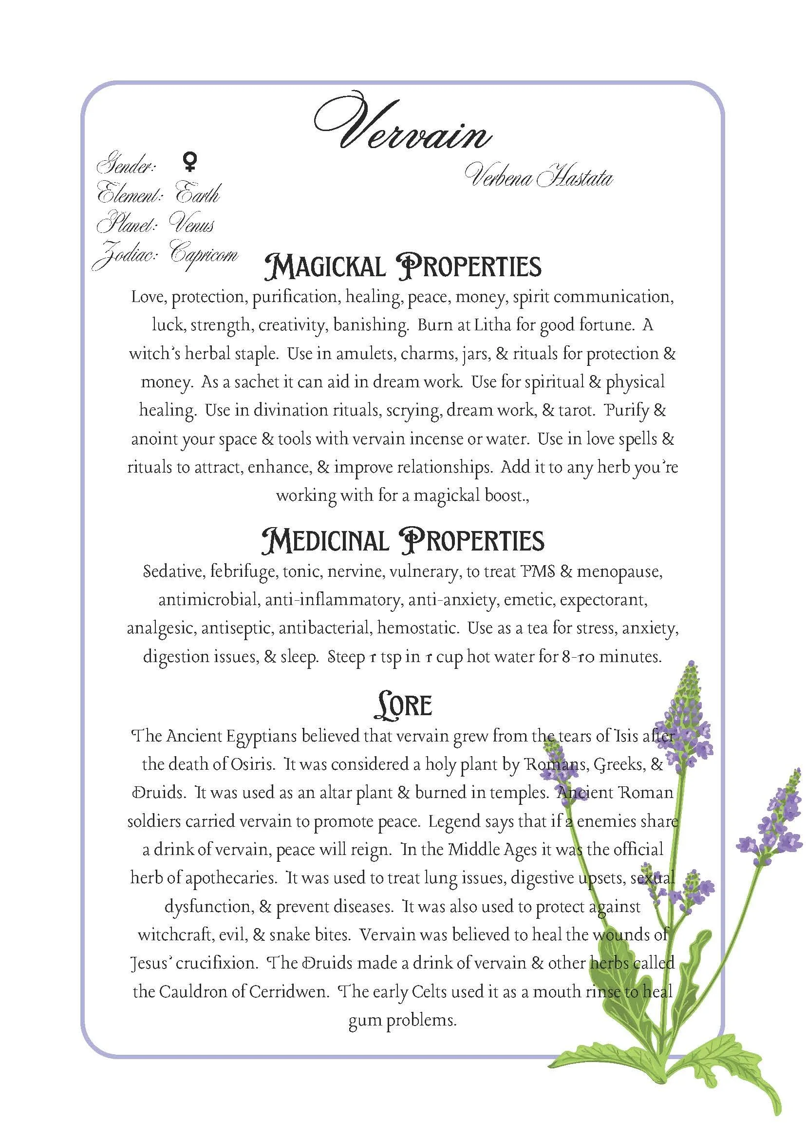 Vervain