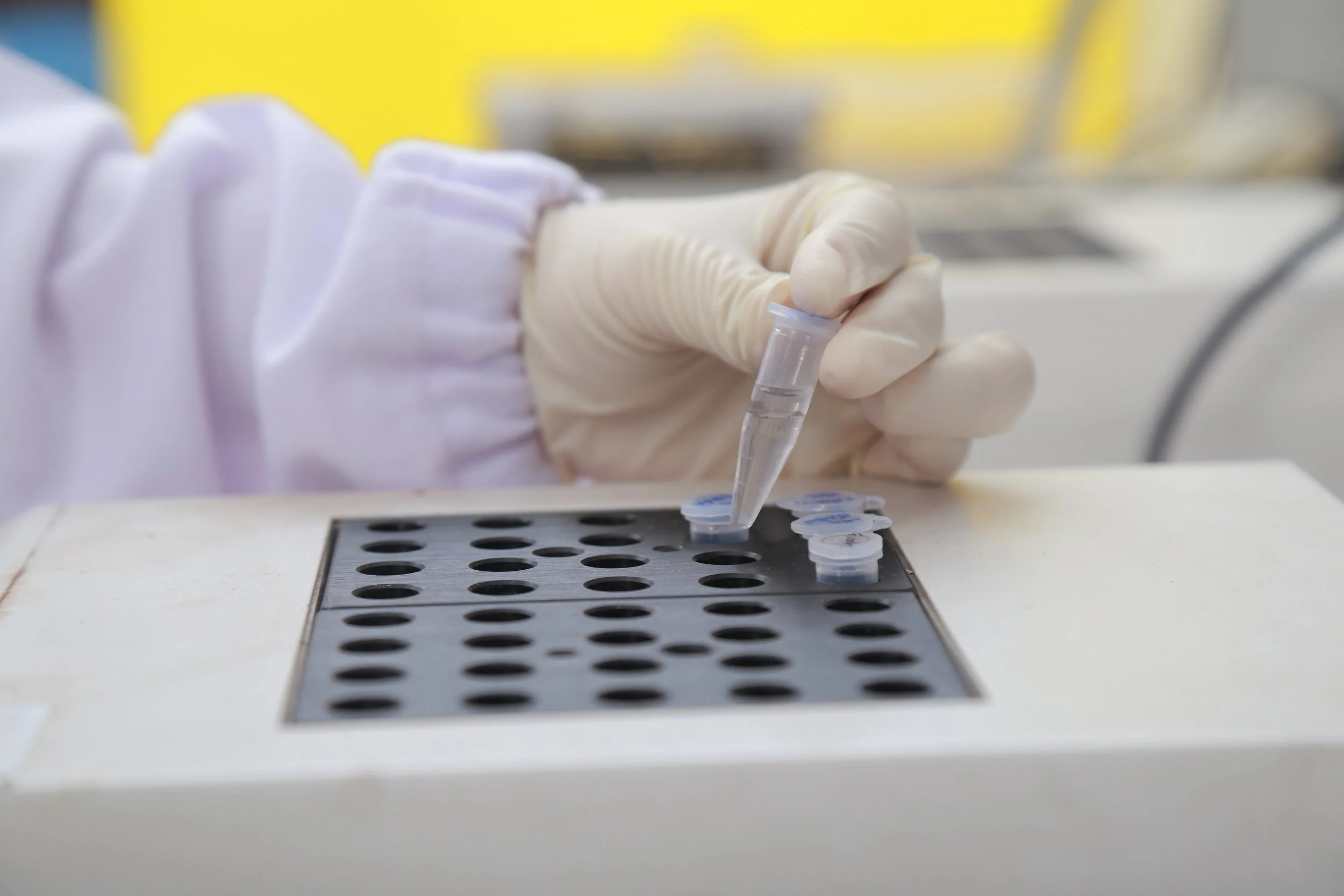 What Should I Look For When Selecting A Peptide Distributor For Laboratory Experiments?