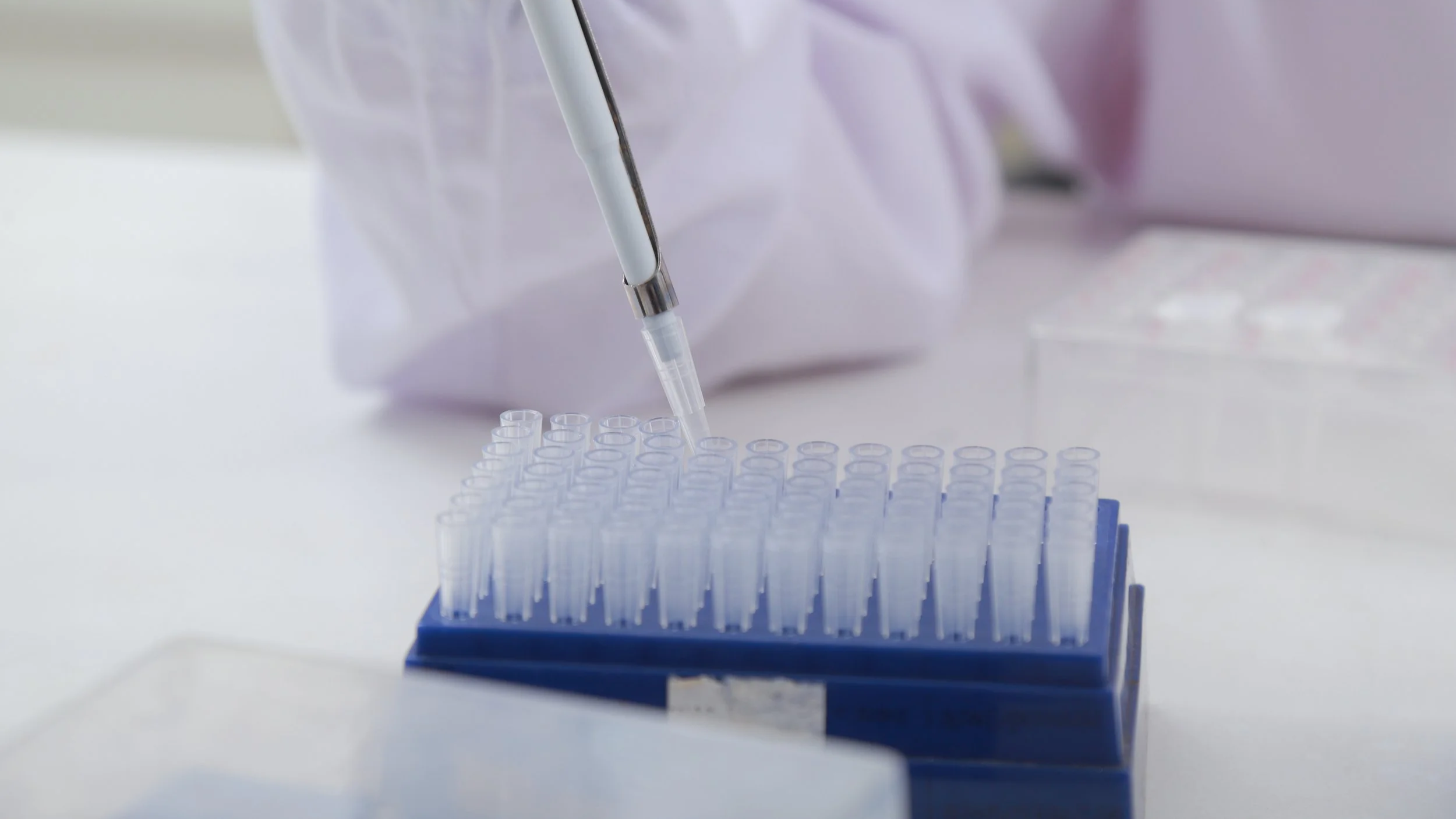 A laboratory researcher uses a pipette to transfer liquid into small test tubes arranged in a blue rack.
