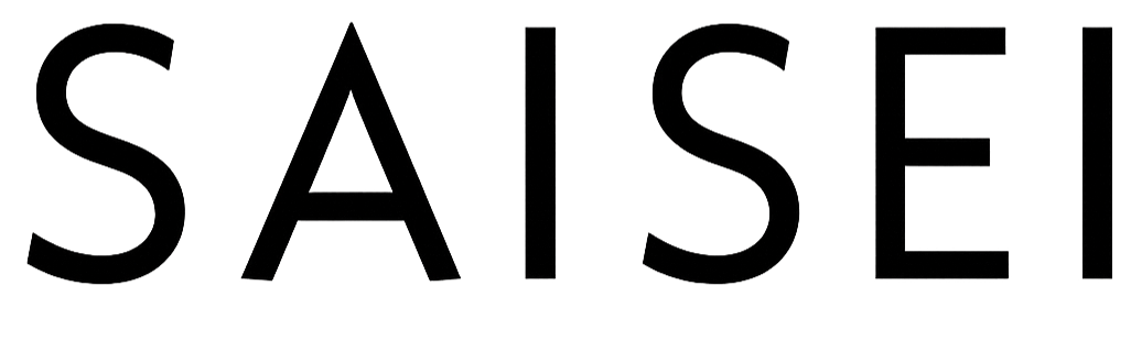 The word 'SAISE' written in black outline capital letters on a transparent background.