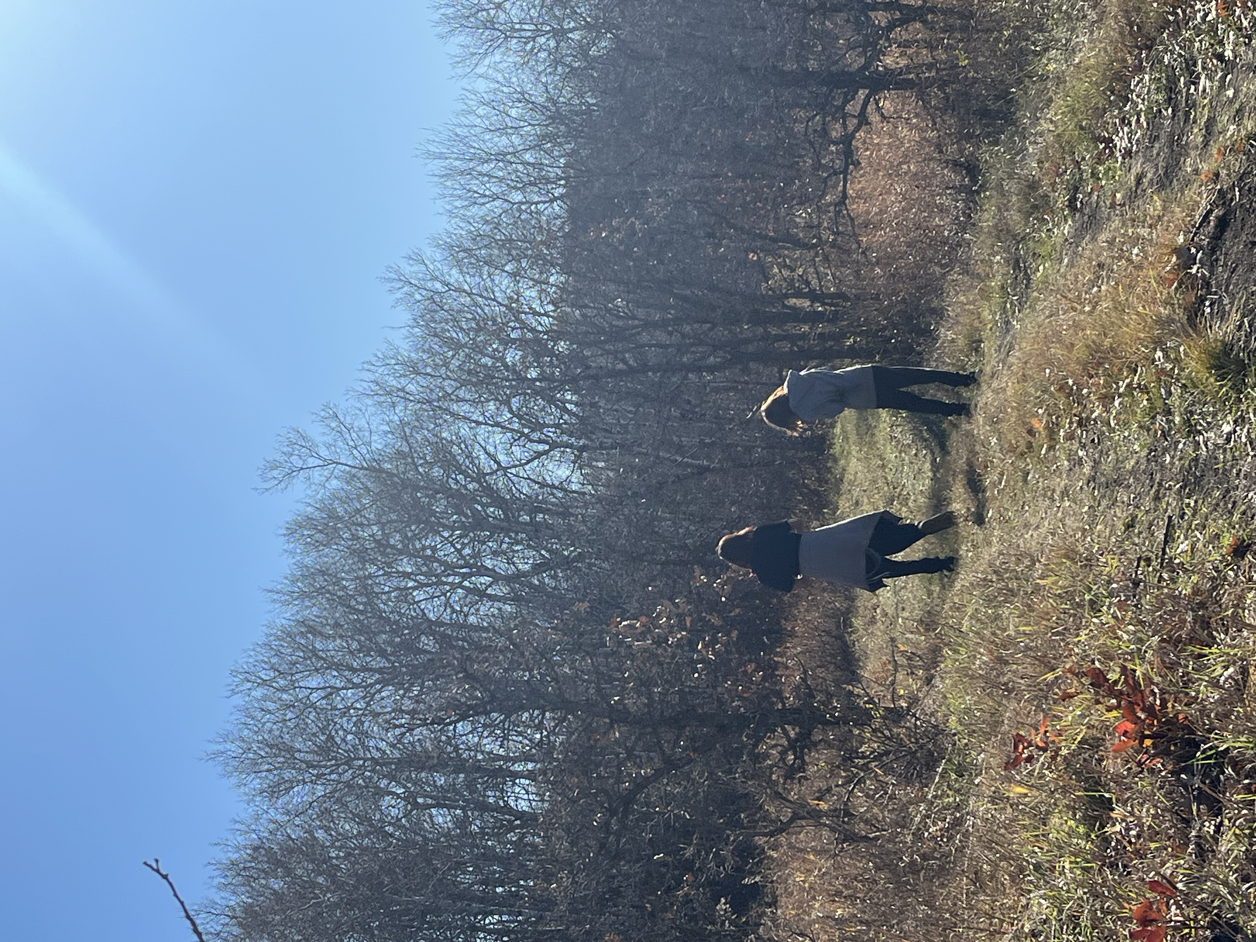Two people walking on a narrow dirt trail in a wooded area during fall, with leafless trees and clear blue sky.
