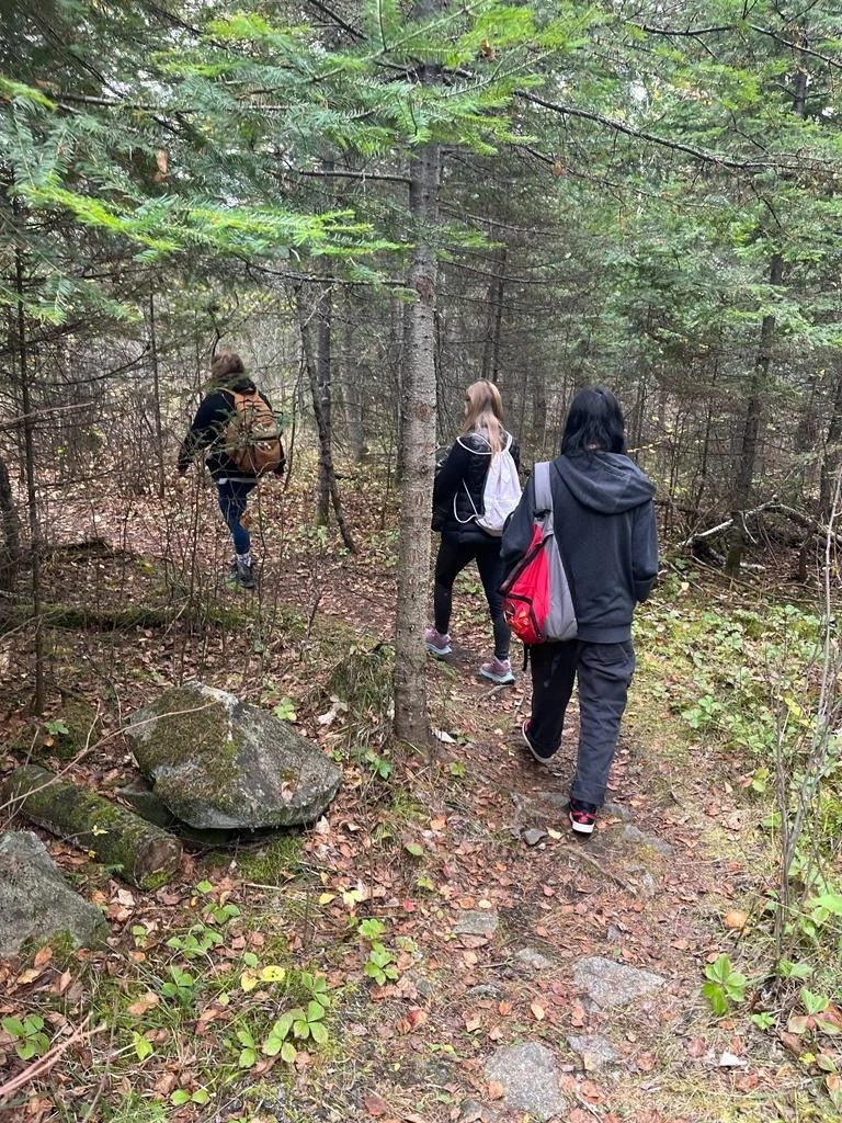 Three people hiking on a narrow trail in a dense forest with greenery and rocks.