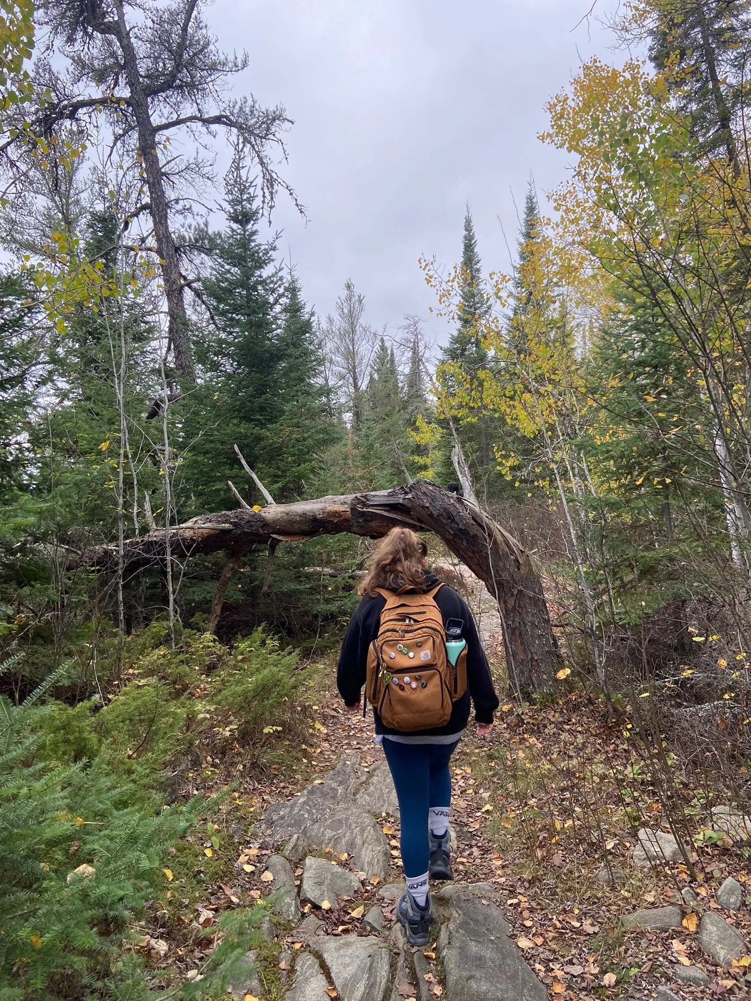 A person hiking on a rocky trail in a forest with trees and a fallen tree arching over the path.