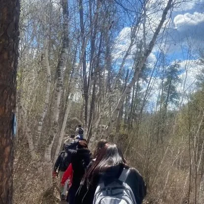 People hiking on a trail through a wooded area on a sunny day.