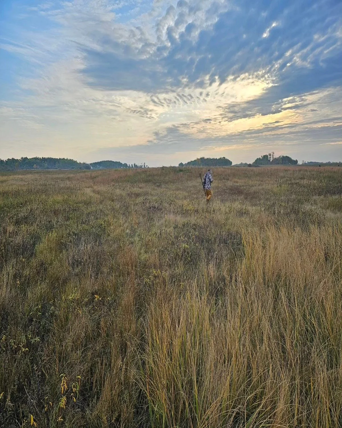 A person walking through a vast, open grassland under a cloudy sky.