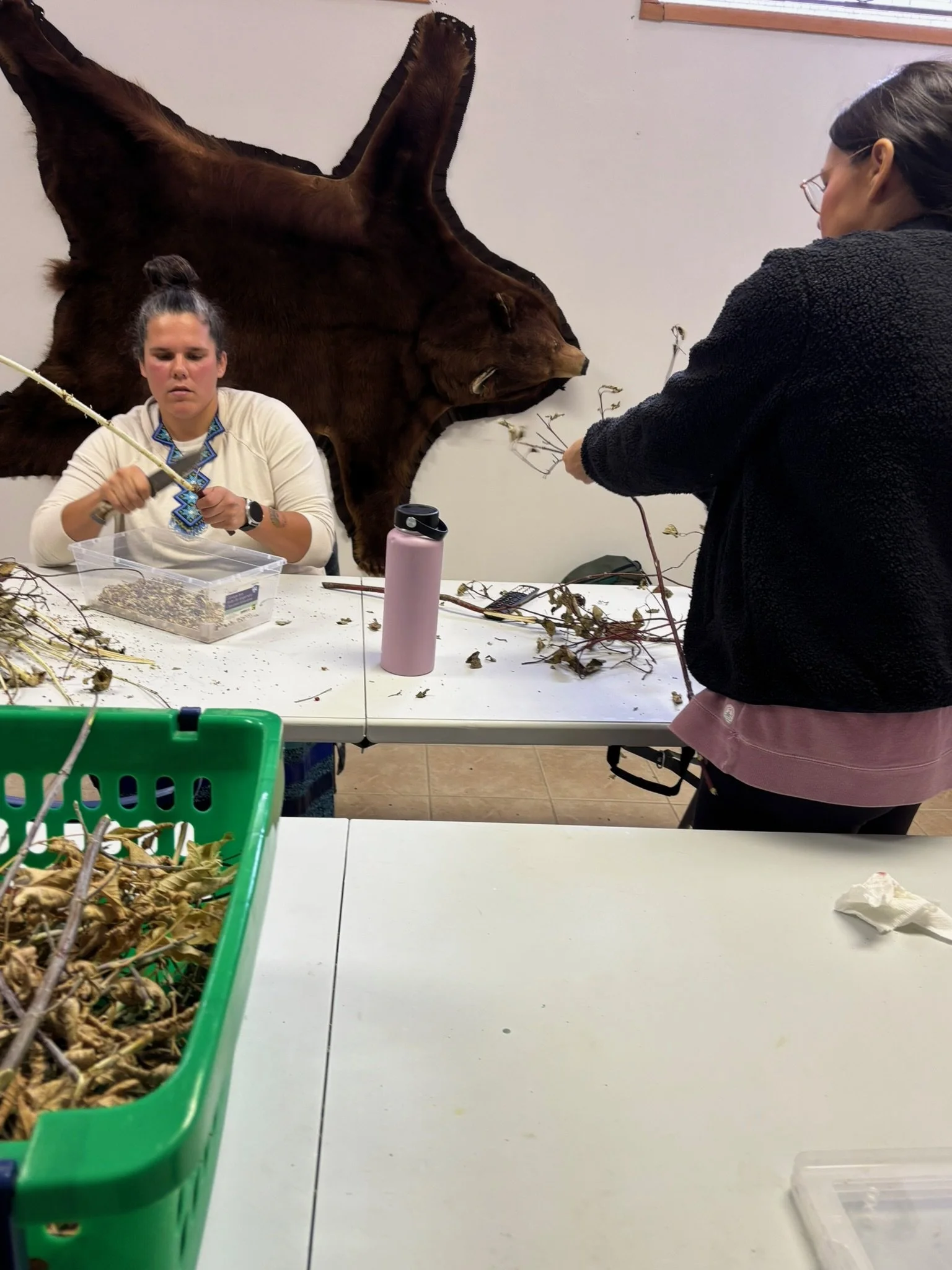 Two women working with dried plant materials in a room, with a mountain lion pelt mounted on the wall behind them.