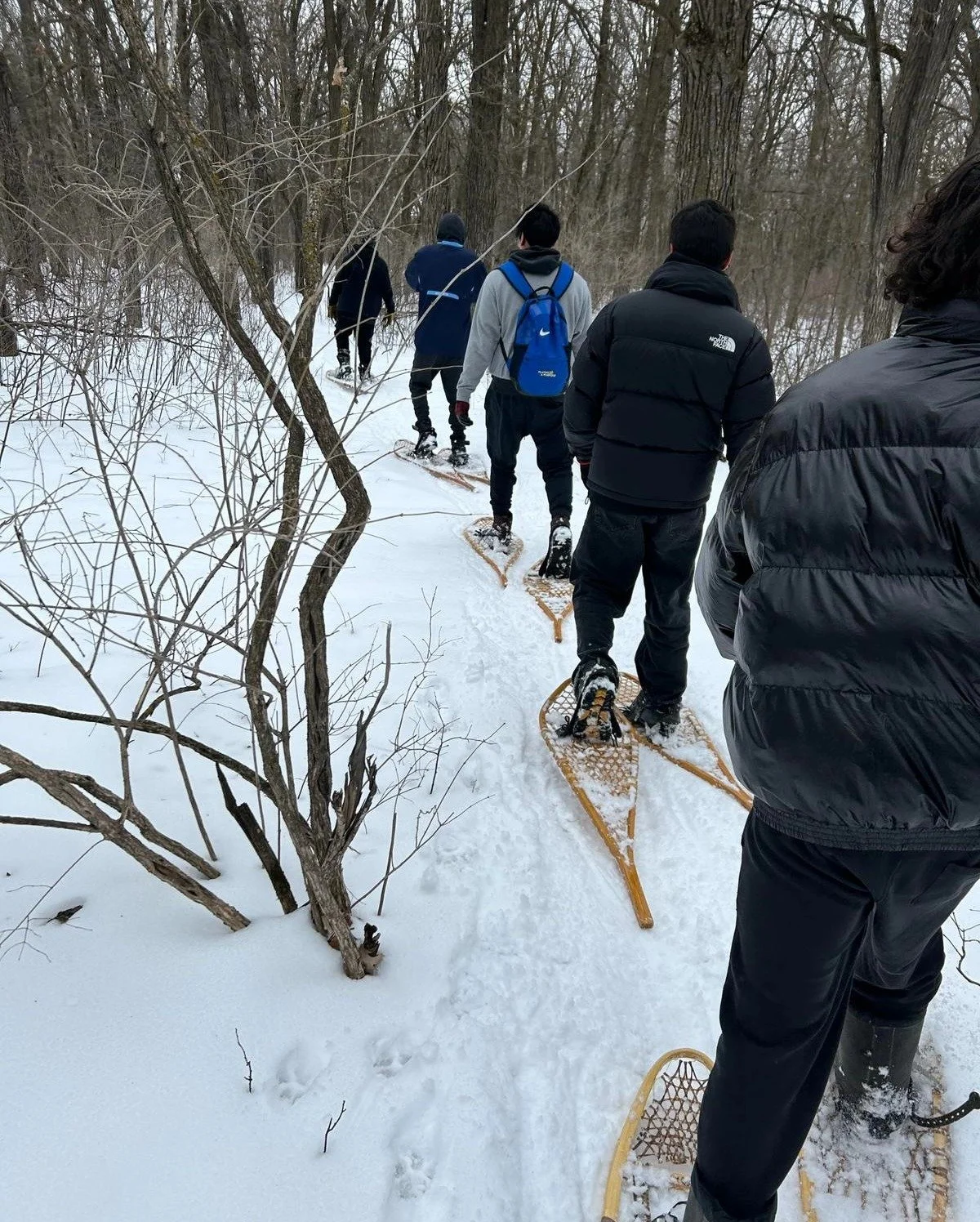 Group of people snowshoeing on a winter trail in a wooded area.