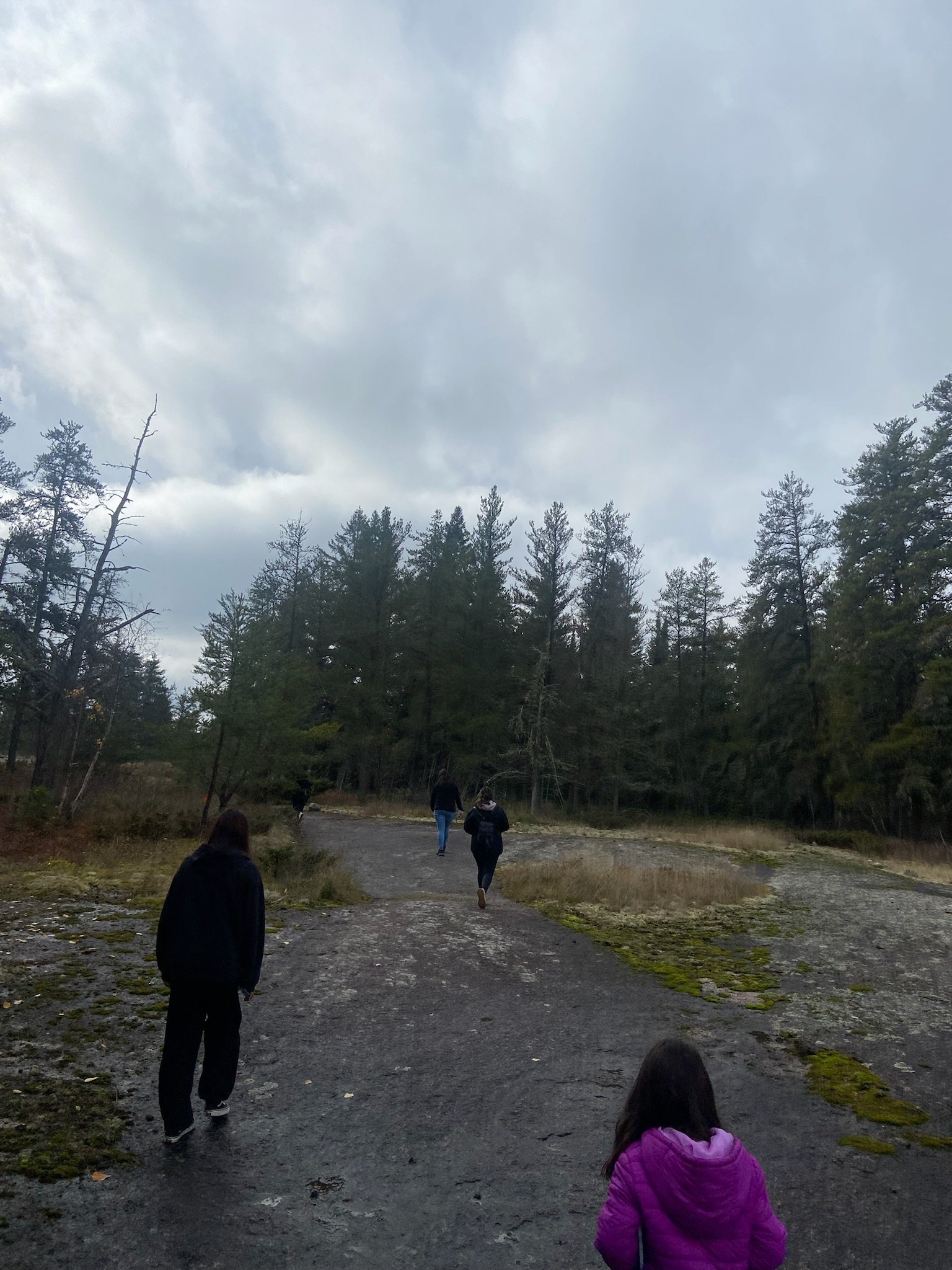 People walking on a dirt trail in a forested area under a cloudy sky.
