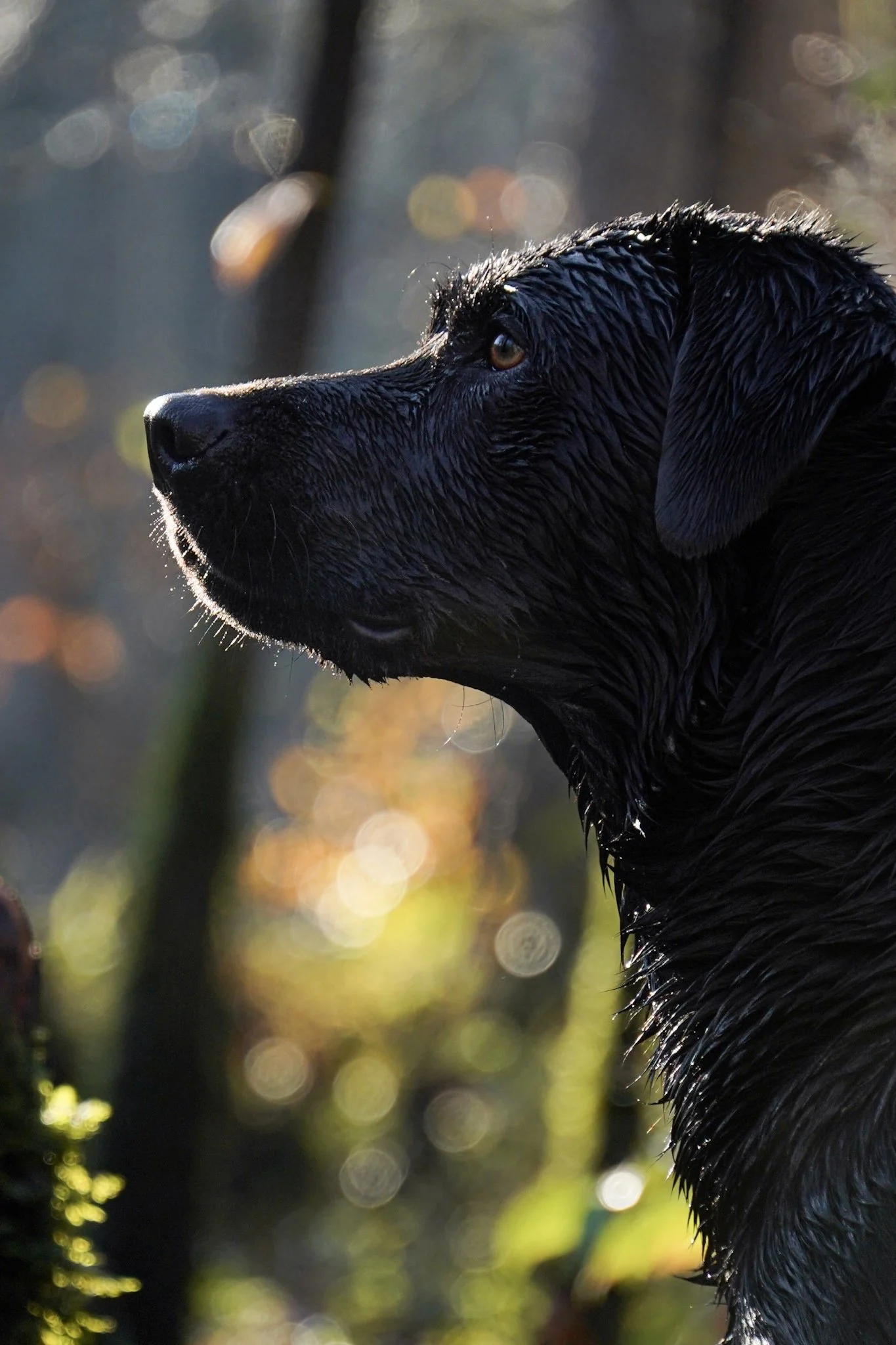 Logan Jones Photo Packages