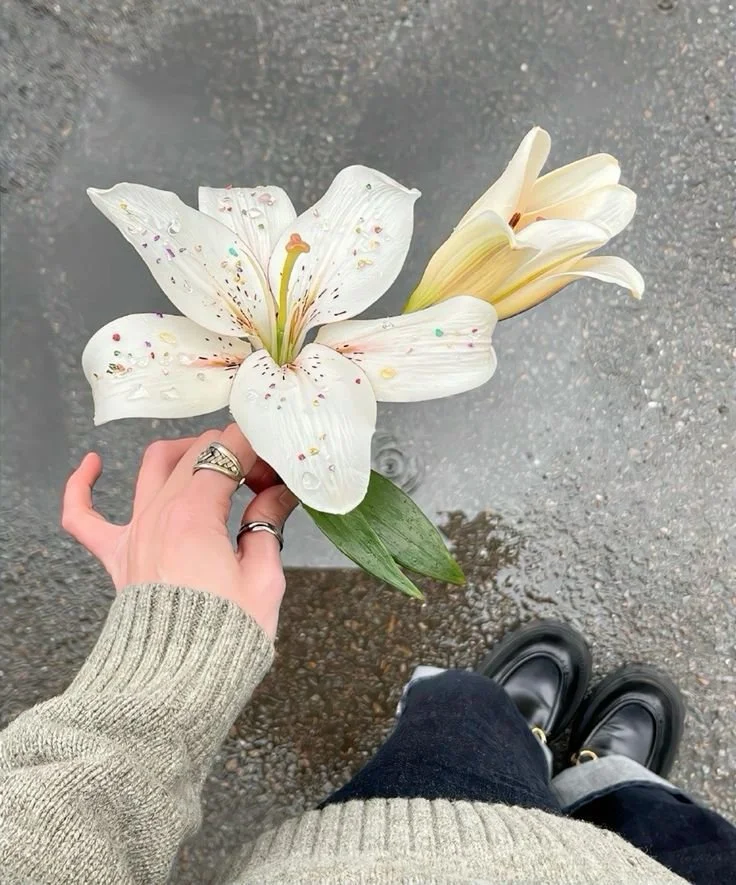 Decoding Life's Mysteries