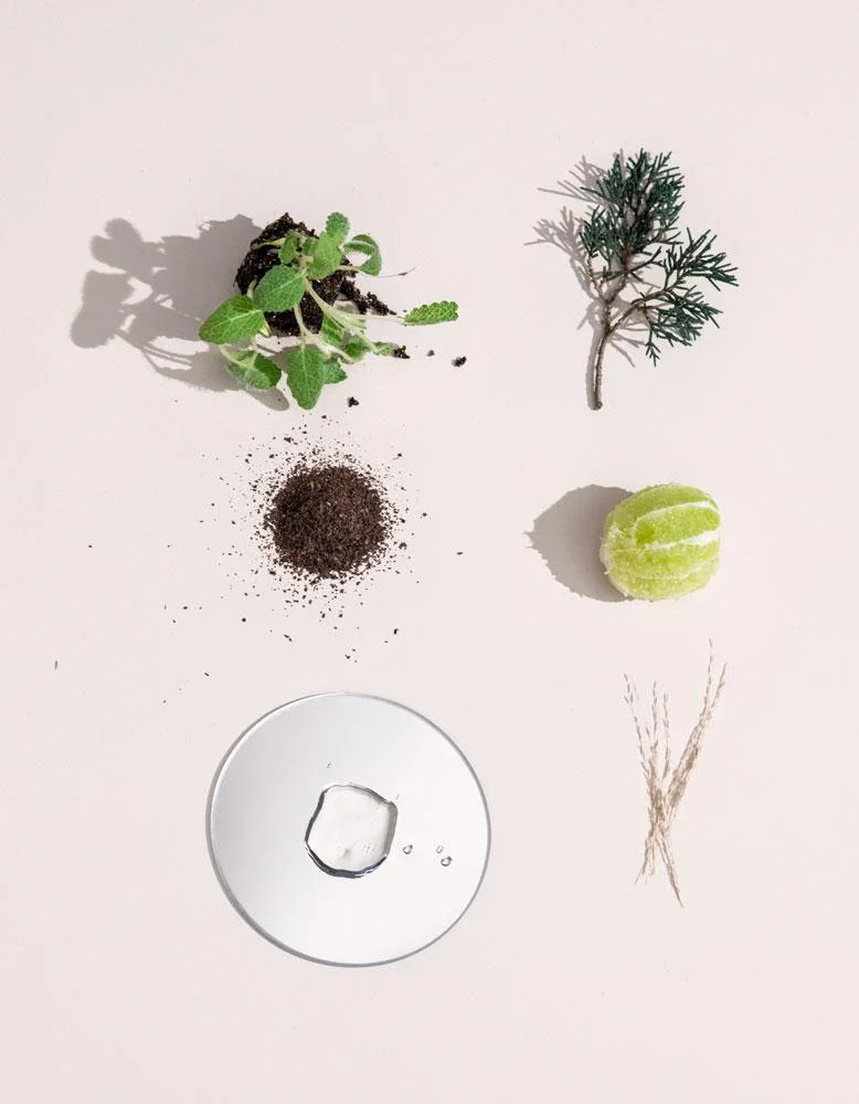 Early grey ingredients.webp