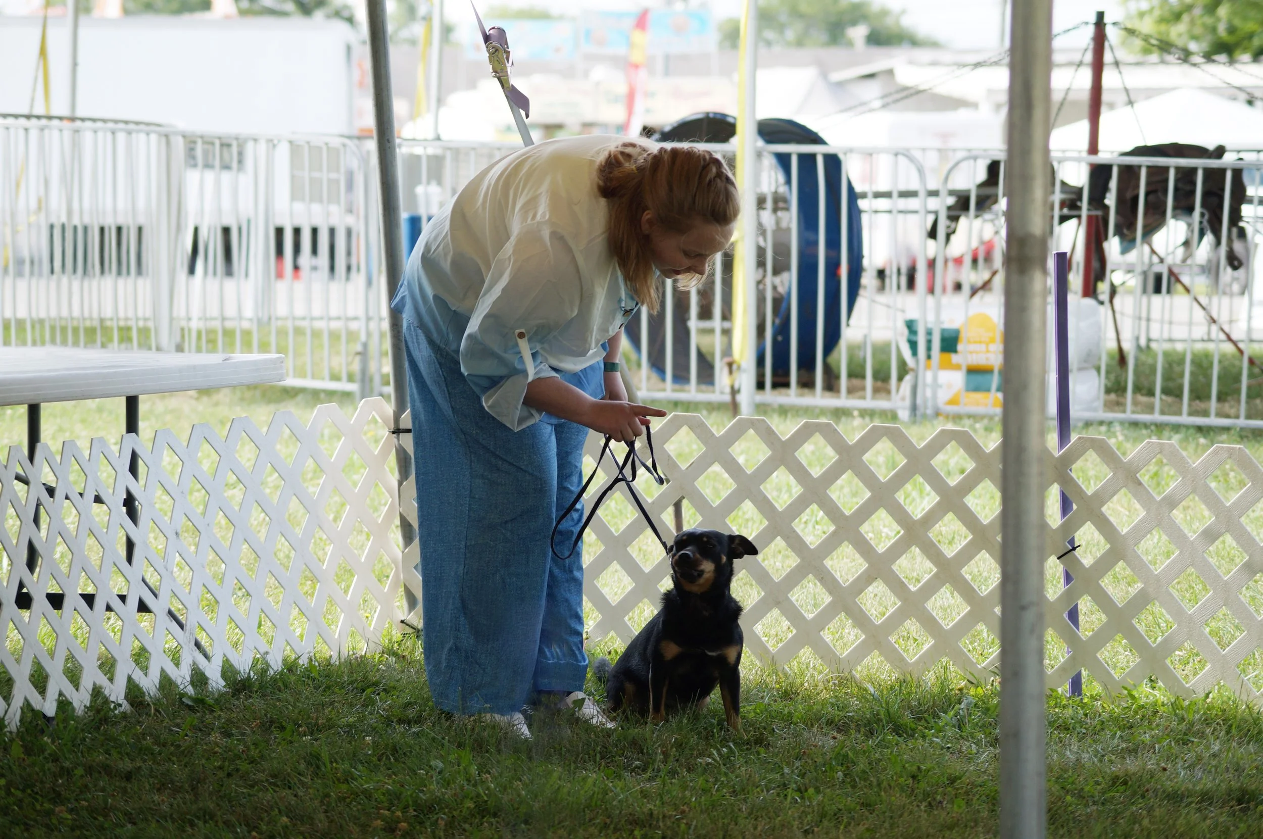 005_Hall_Dog_Show.jpg