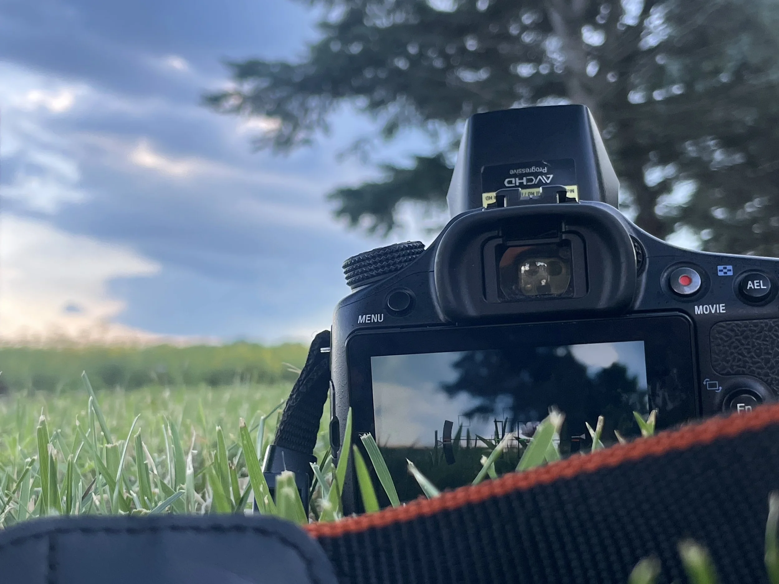 View from a low perspective of a camera resting on grass with a camera strap in the foreground, a camera in the middle, and a blurred sky with clouds and a tree in the background.
