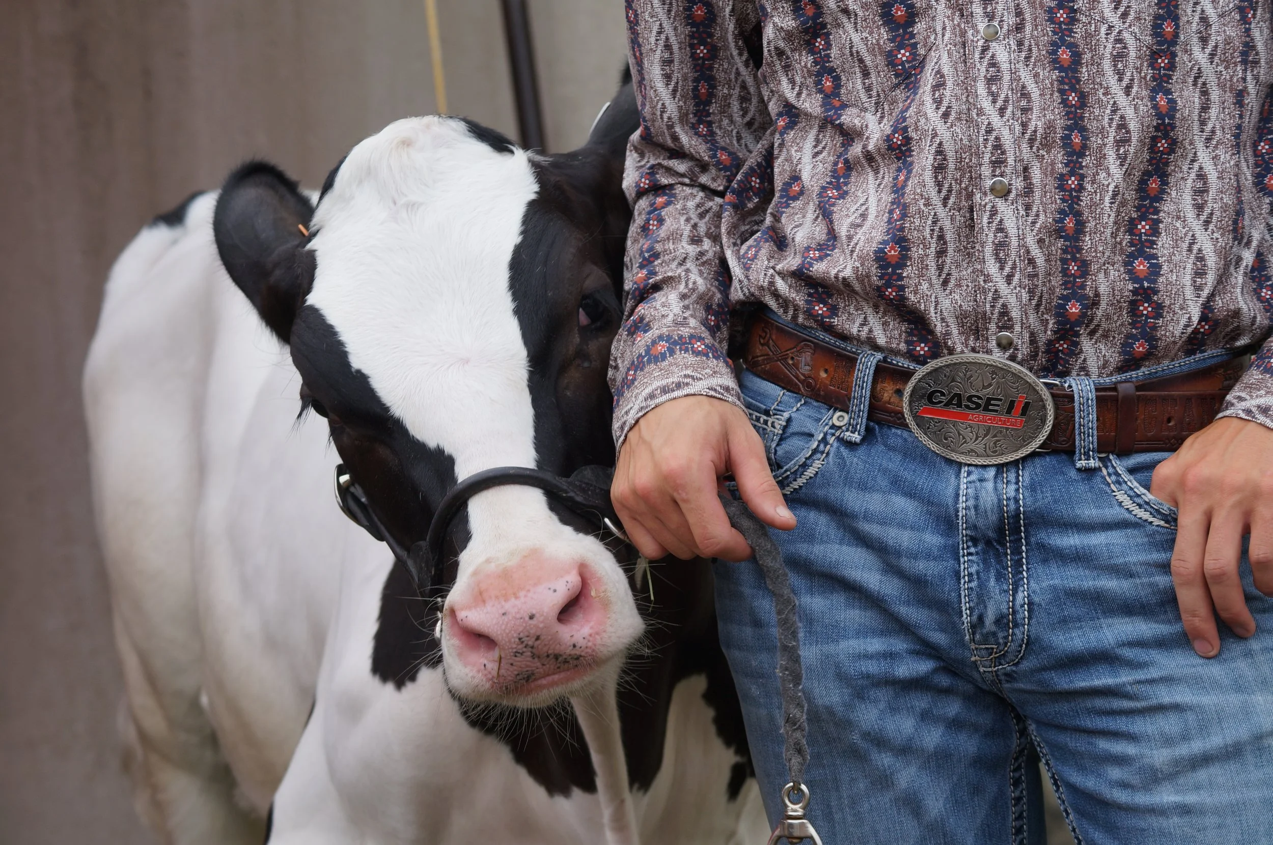 011_Hudson_Livestock.JPG