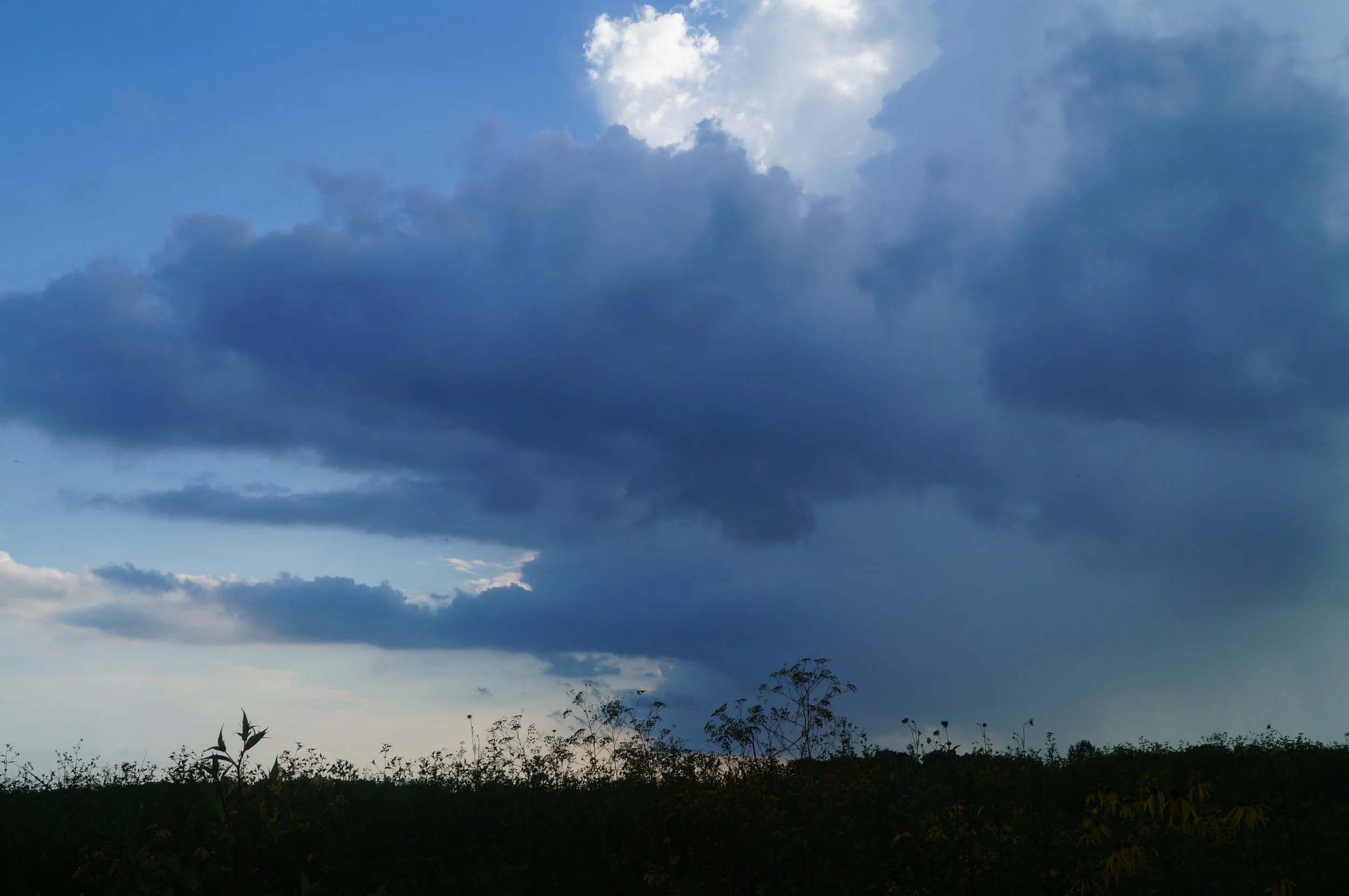DSC01799 copy.JPG