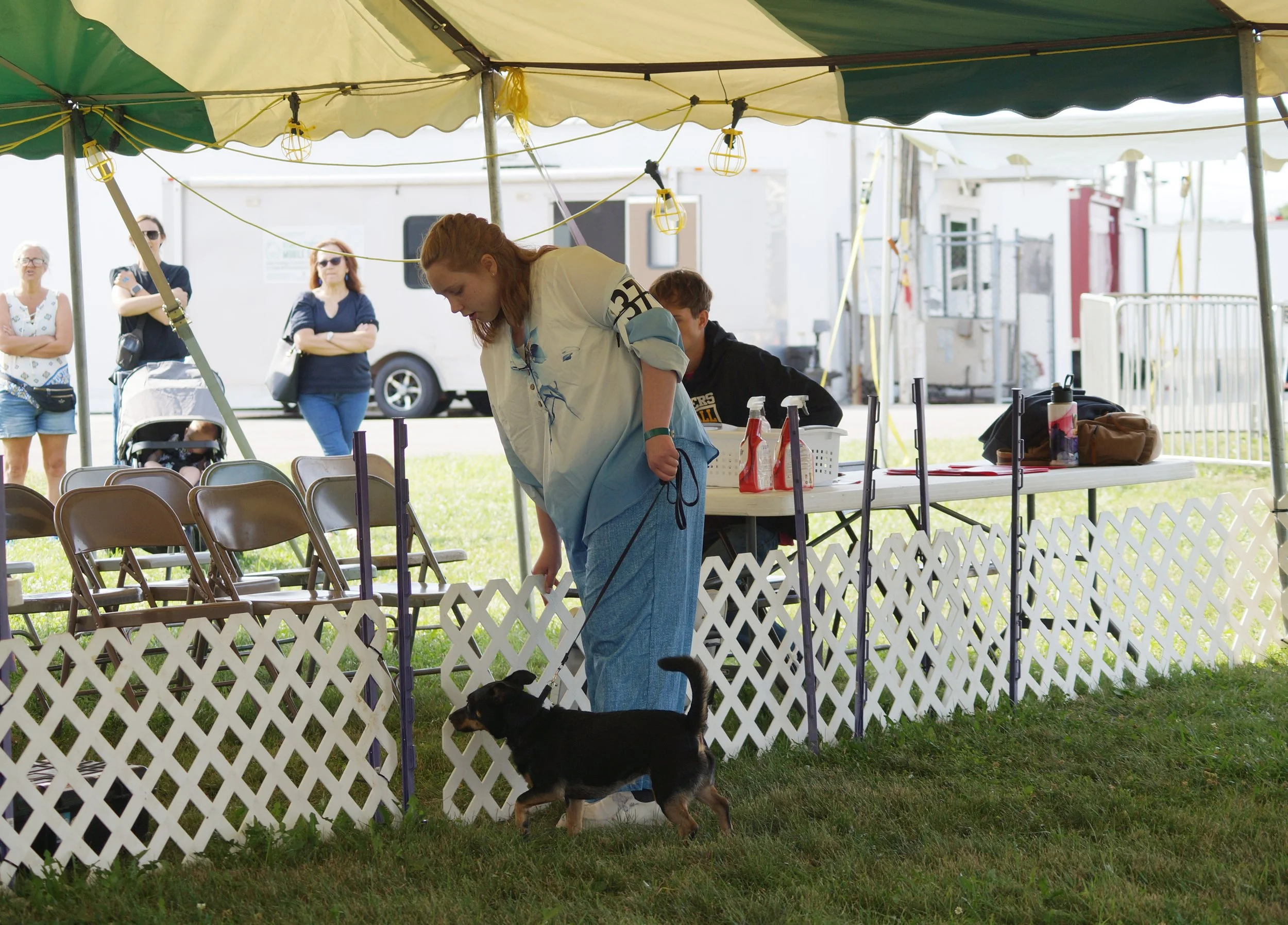 008_Hall_Dog_Show.jpg