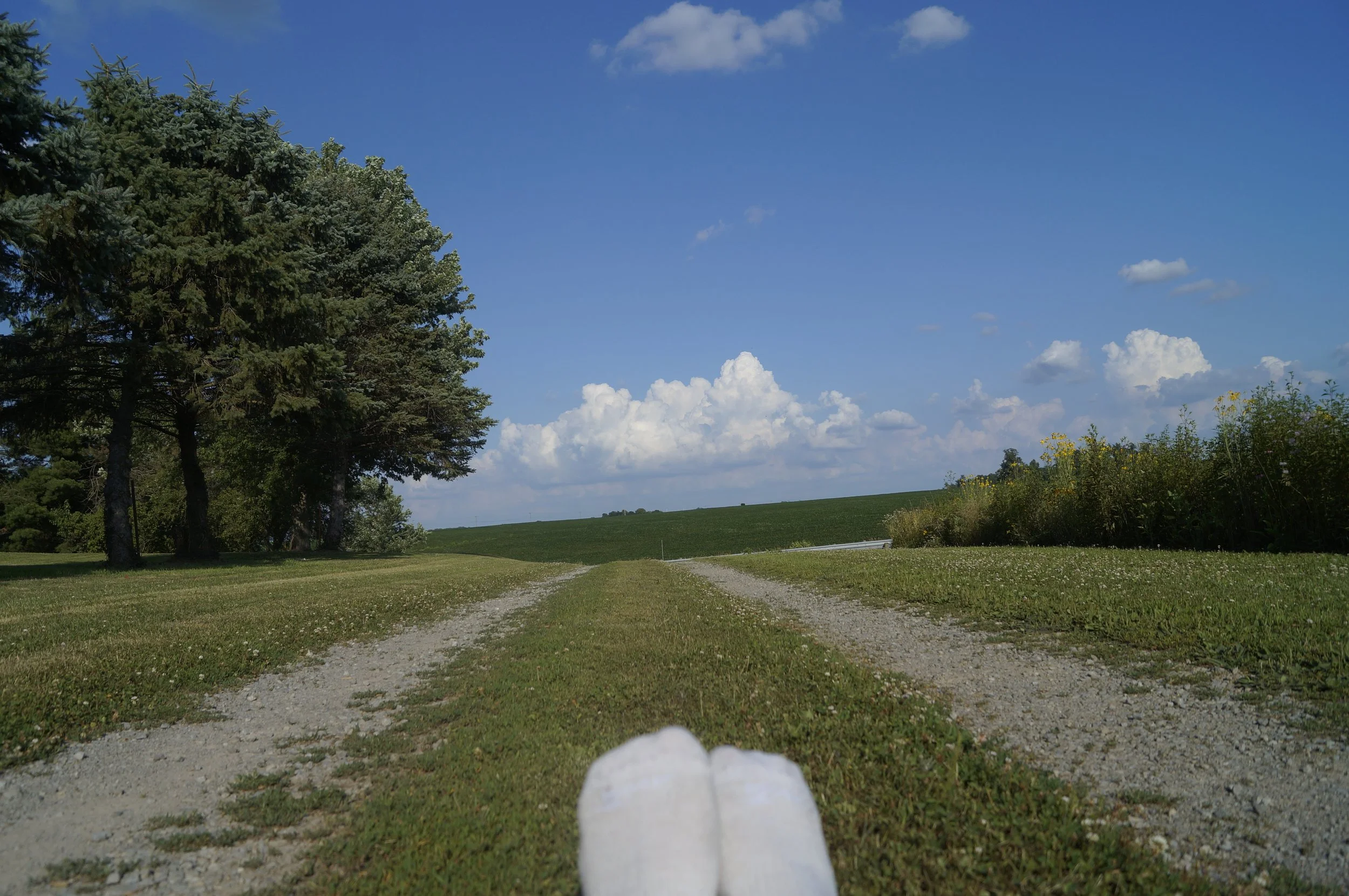 _DSC0415 copy.JPG