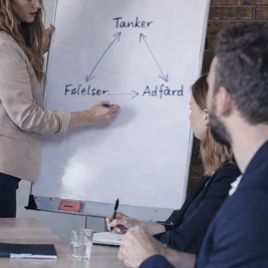 kollektive og individuelle forløb
