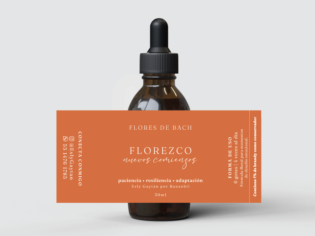 Screenshot 2026-01-15 at 1.31.27 PM.png