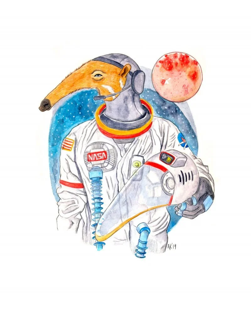 Aardvark Astronaut
