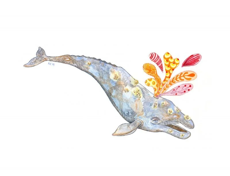 Whale Joy