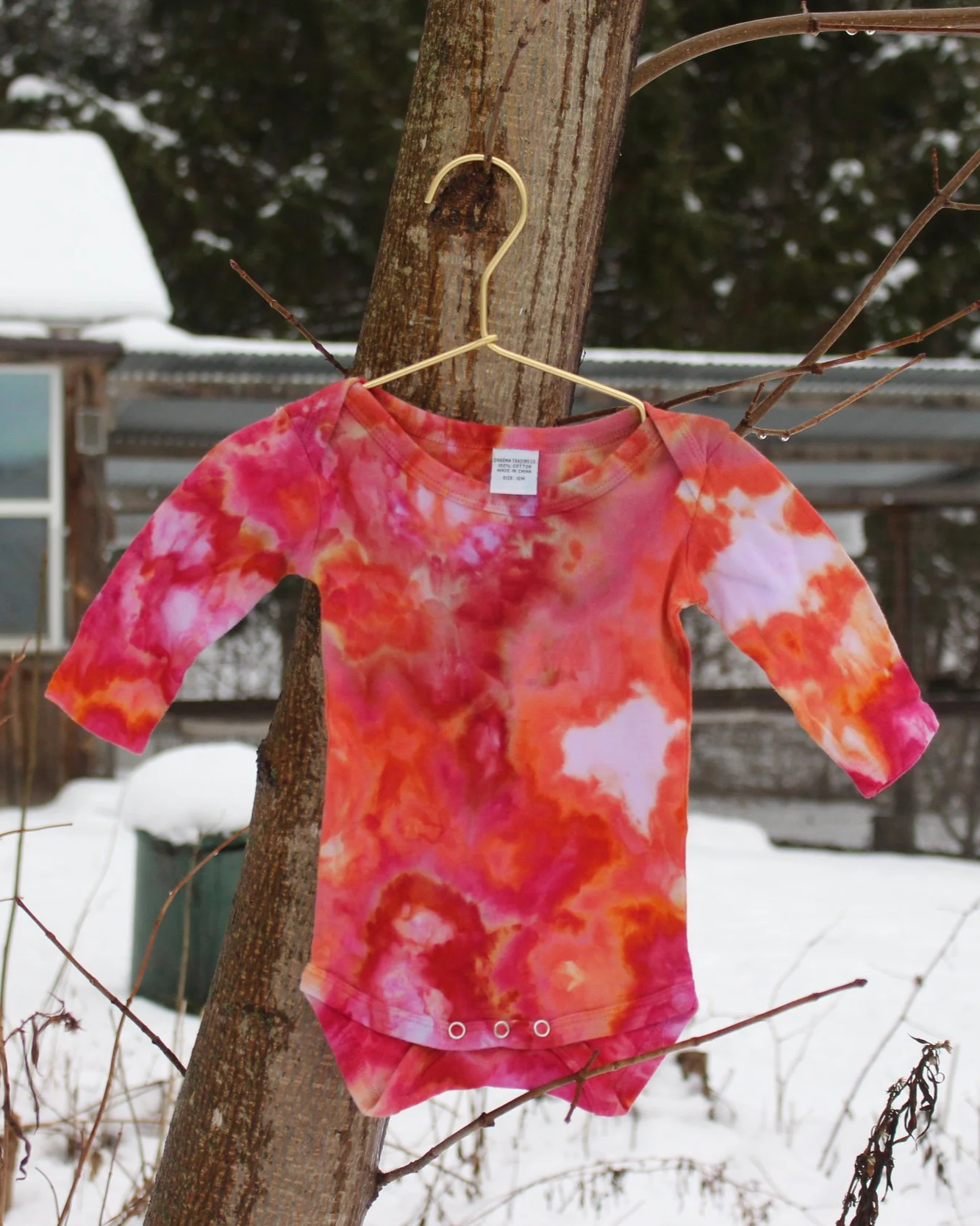 Baby Onesie - 12M Long Sleeve