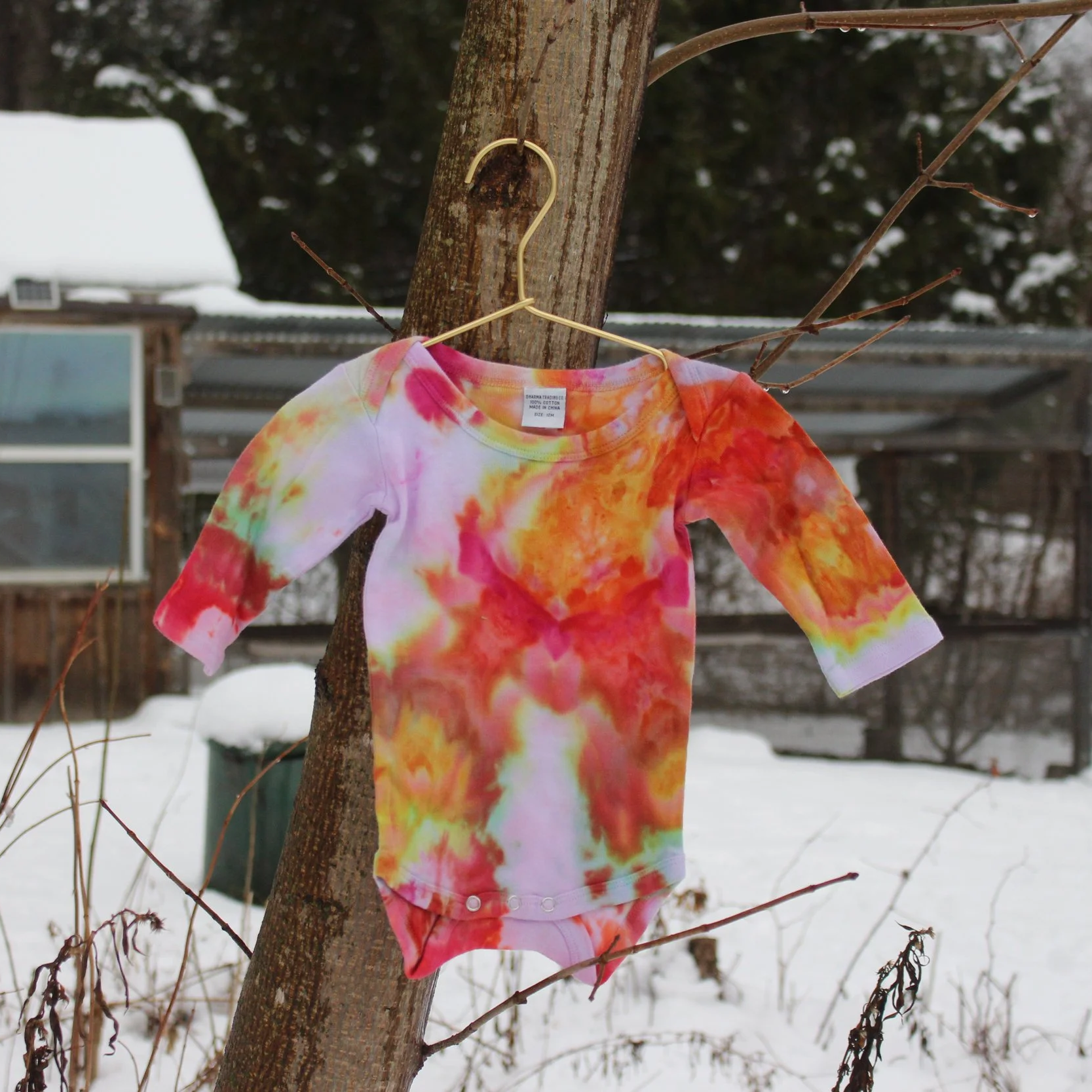 Baby Onesie - 12M Long Sleeve