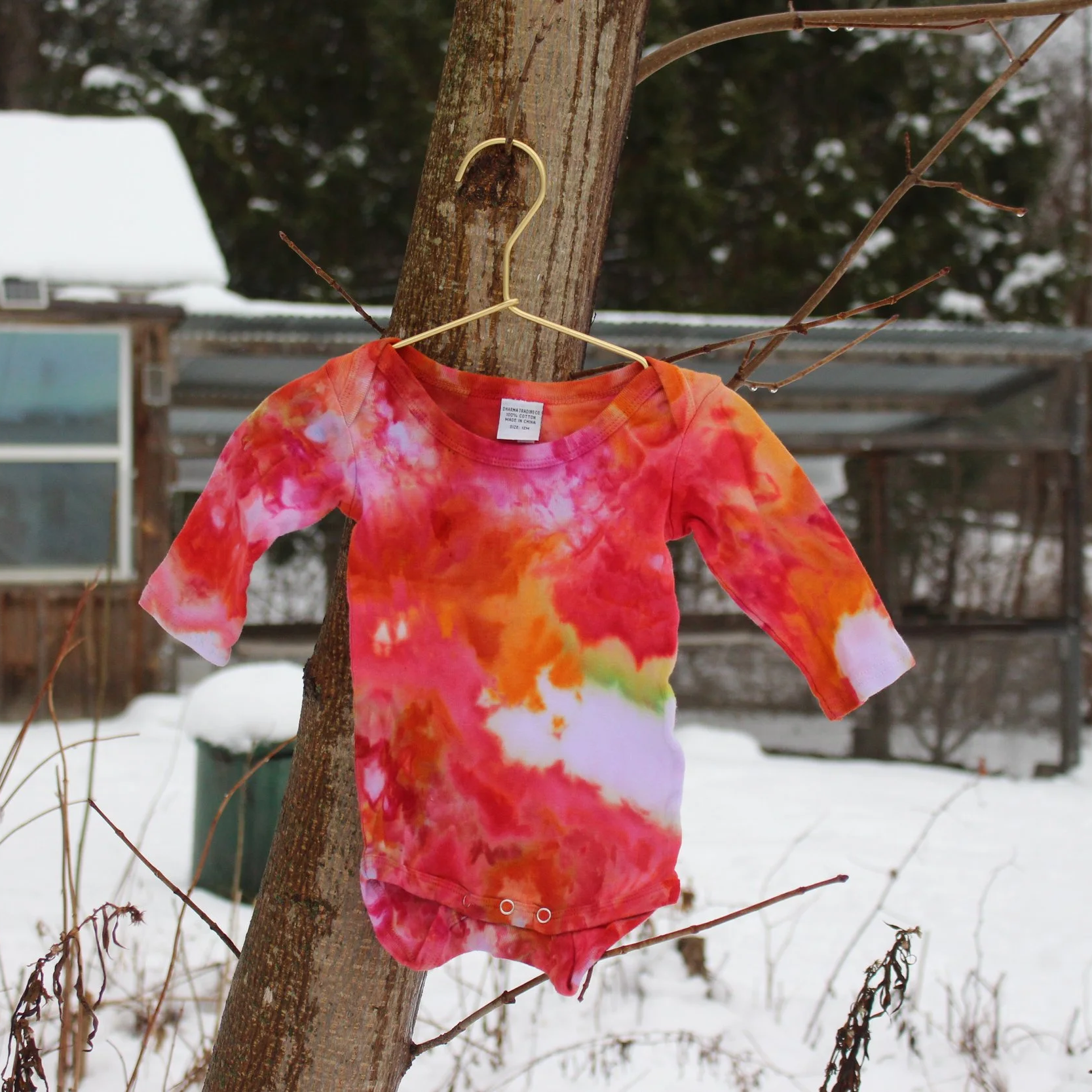 Baby Onesie - 12M Long Sleeve