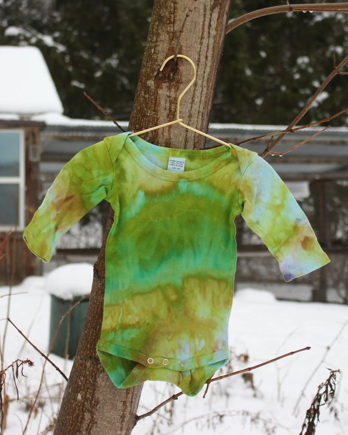 Baby Onesie - 12M Long Sleeve